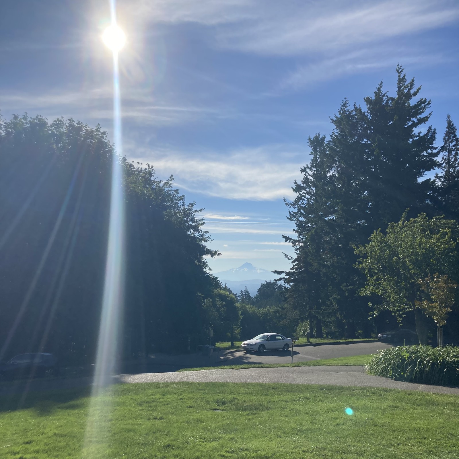 View from Council Crest toward Mt. Hood, which is visible