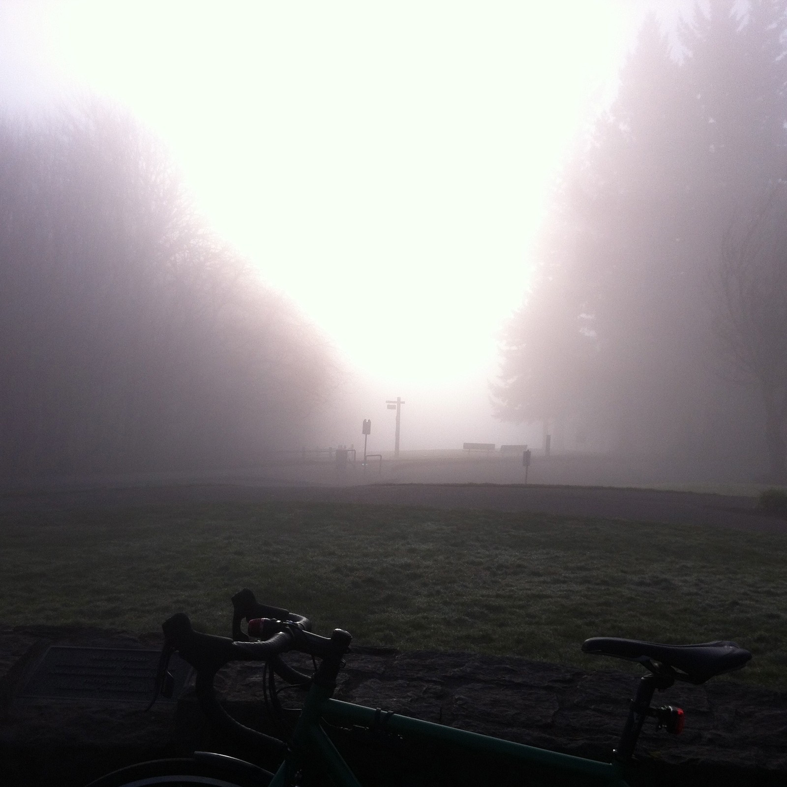 View from Council Crest toward Mt. Hood, which is NOT visible