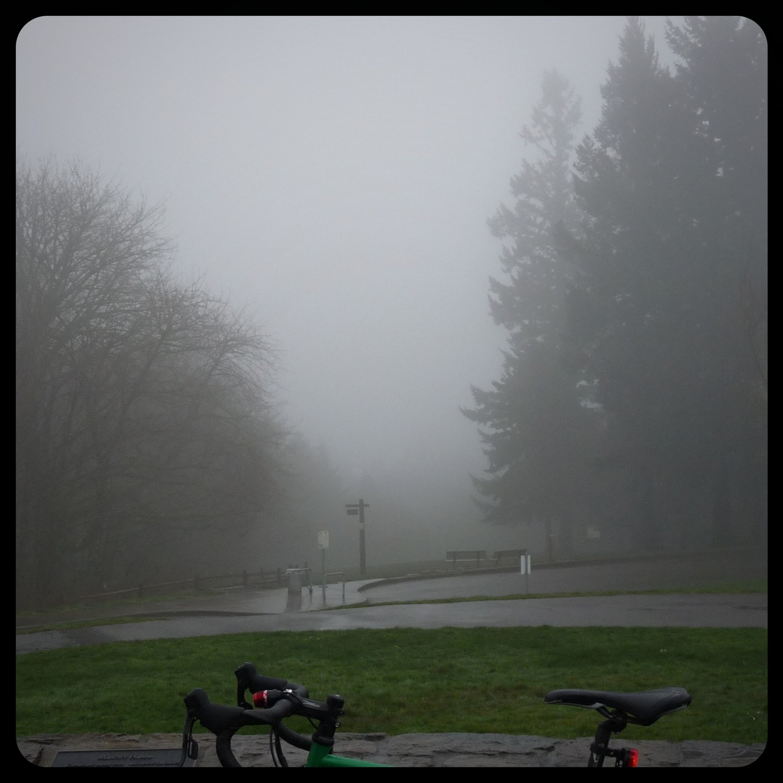 View from Council Crest toward Mt. Hood, which is NOT visible