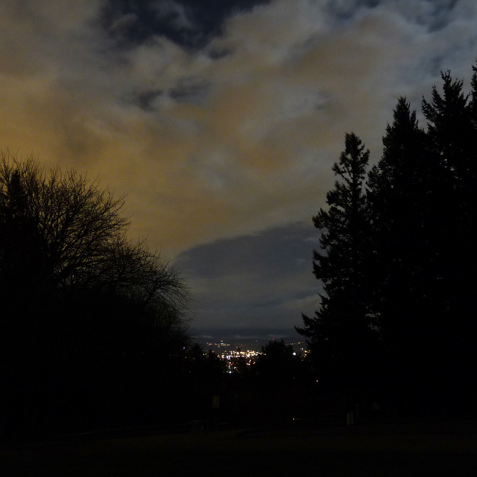 View from Council Crest toward Mt. Hood, which is NOT visible