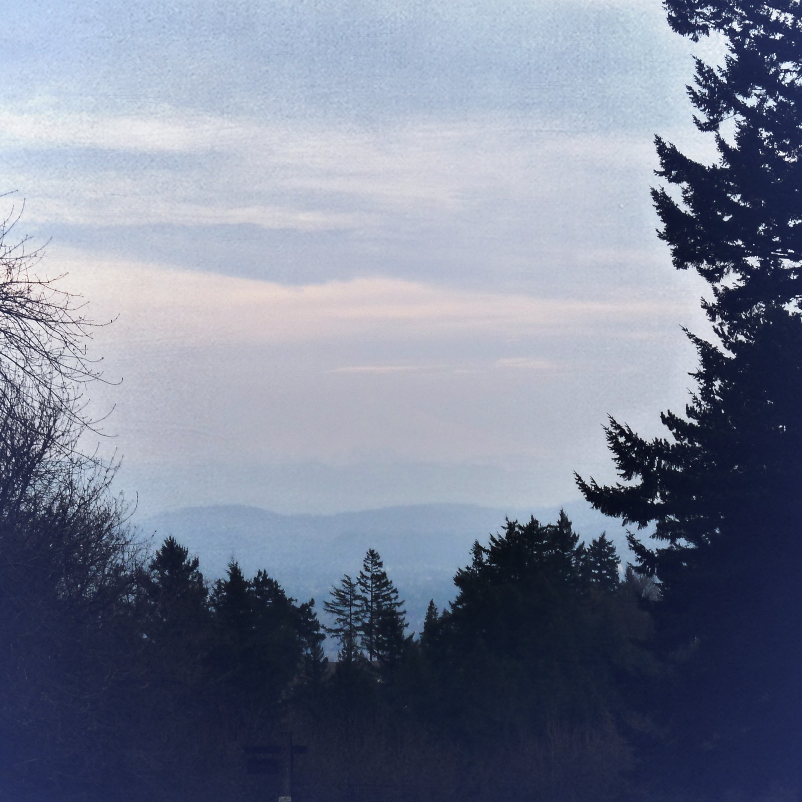 View from Council Crest toward Mt. Hood, which is visible