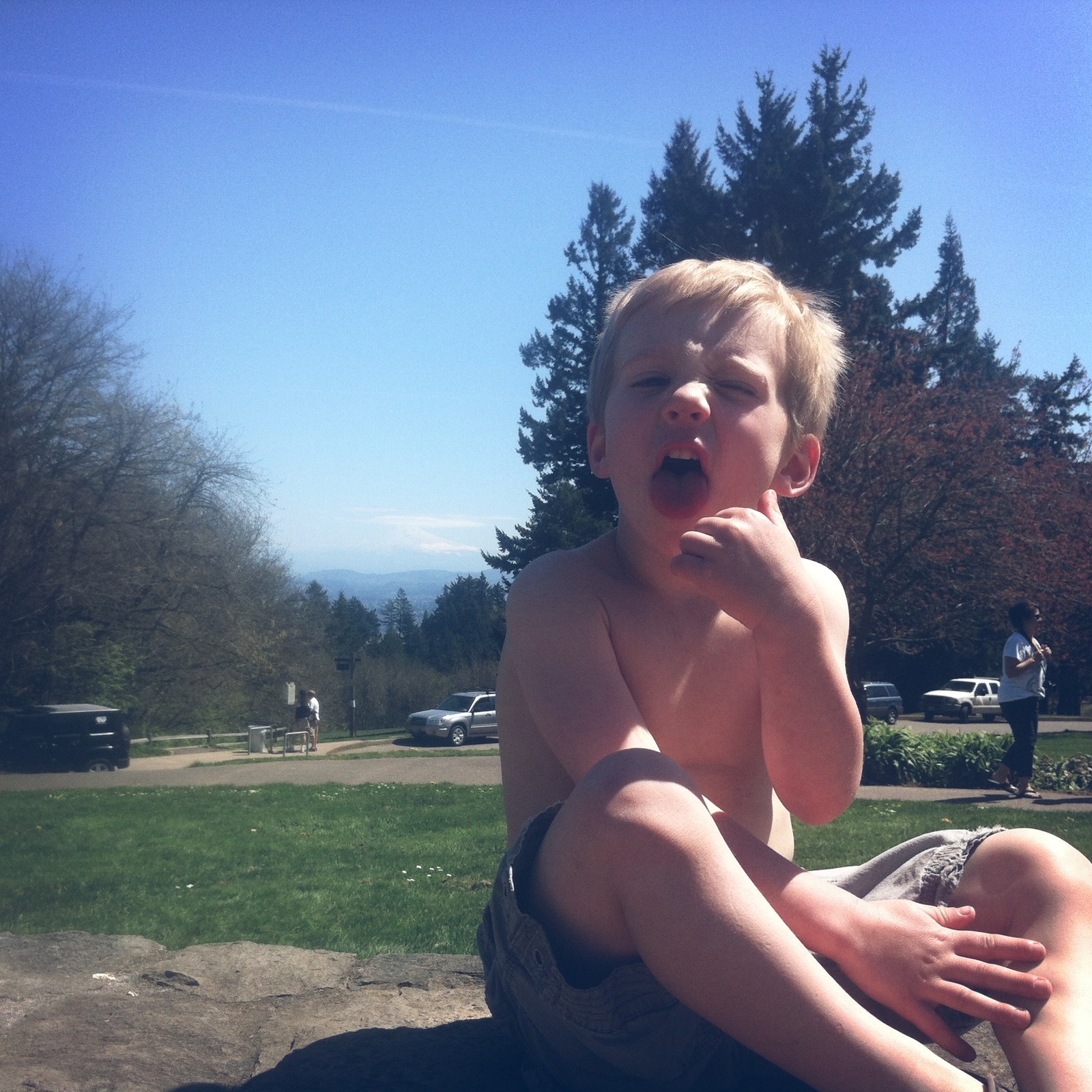 View from Council Crest toward Mt. Hood, which is visible