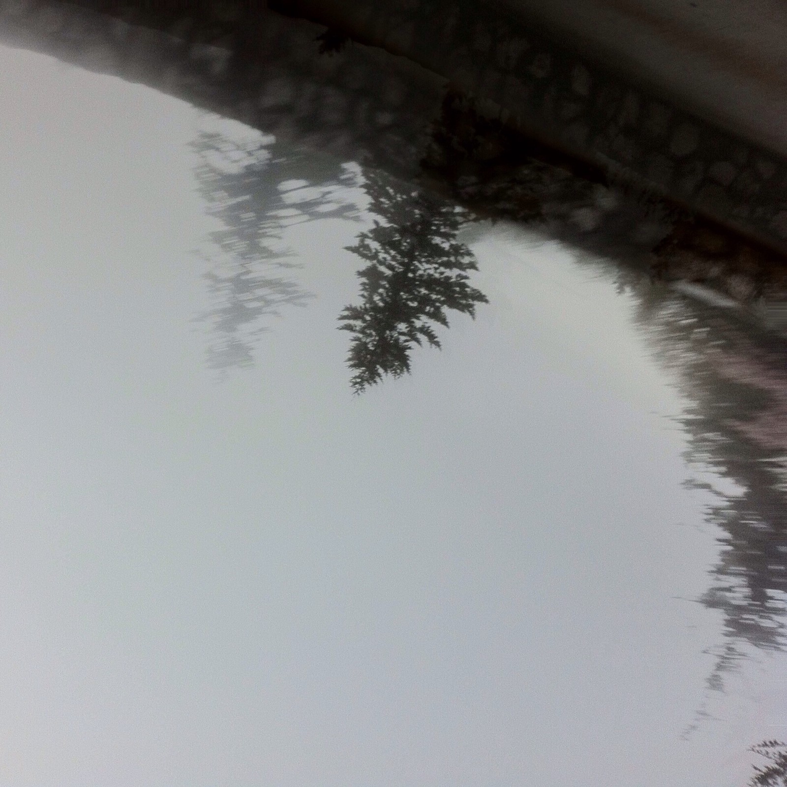 View from Council Crest toward Mt. Hood, which is NOT visible