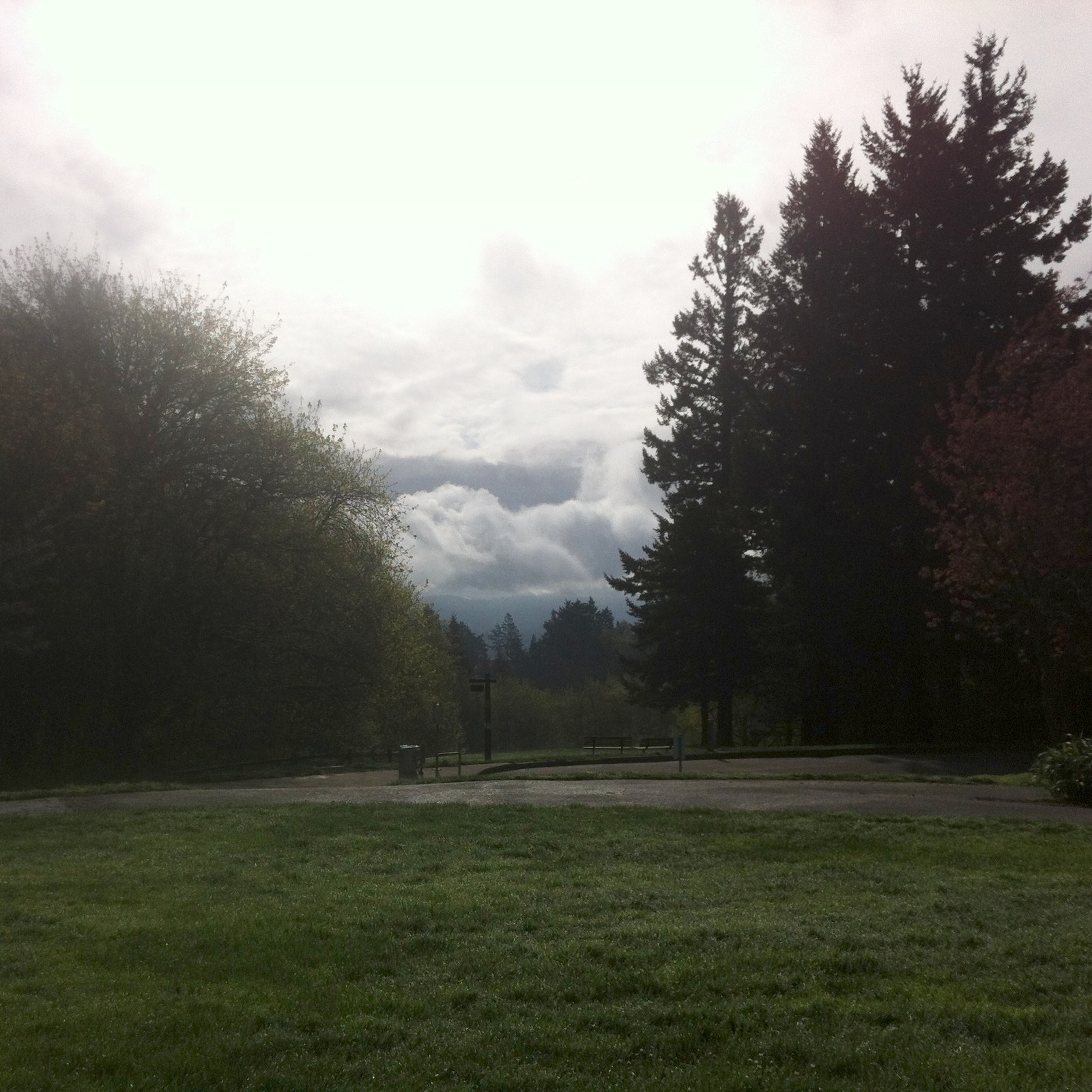 View from Council Crest toward Mt. Hood, which is NOT visible