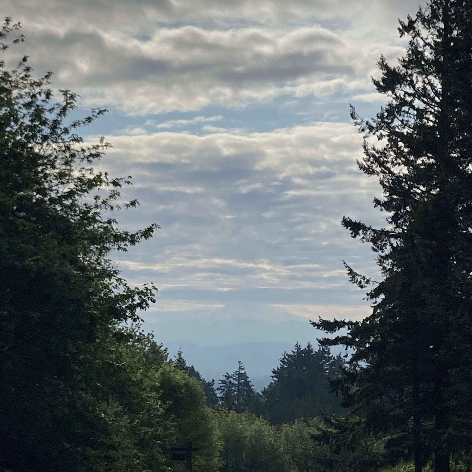 View from Council Crest toward Mt. Hood, which is visible