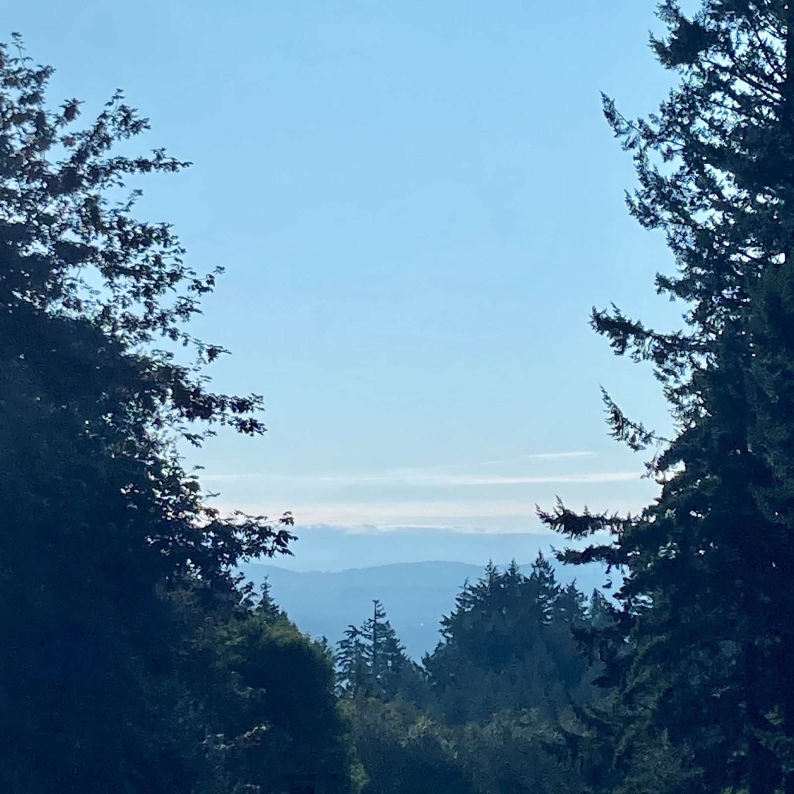 View from Council Crest toward Mt. Hood, which is visible