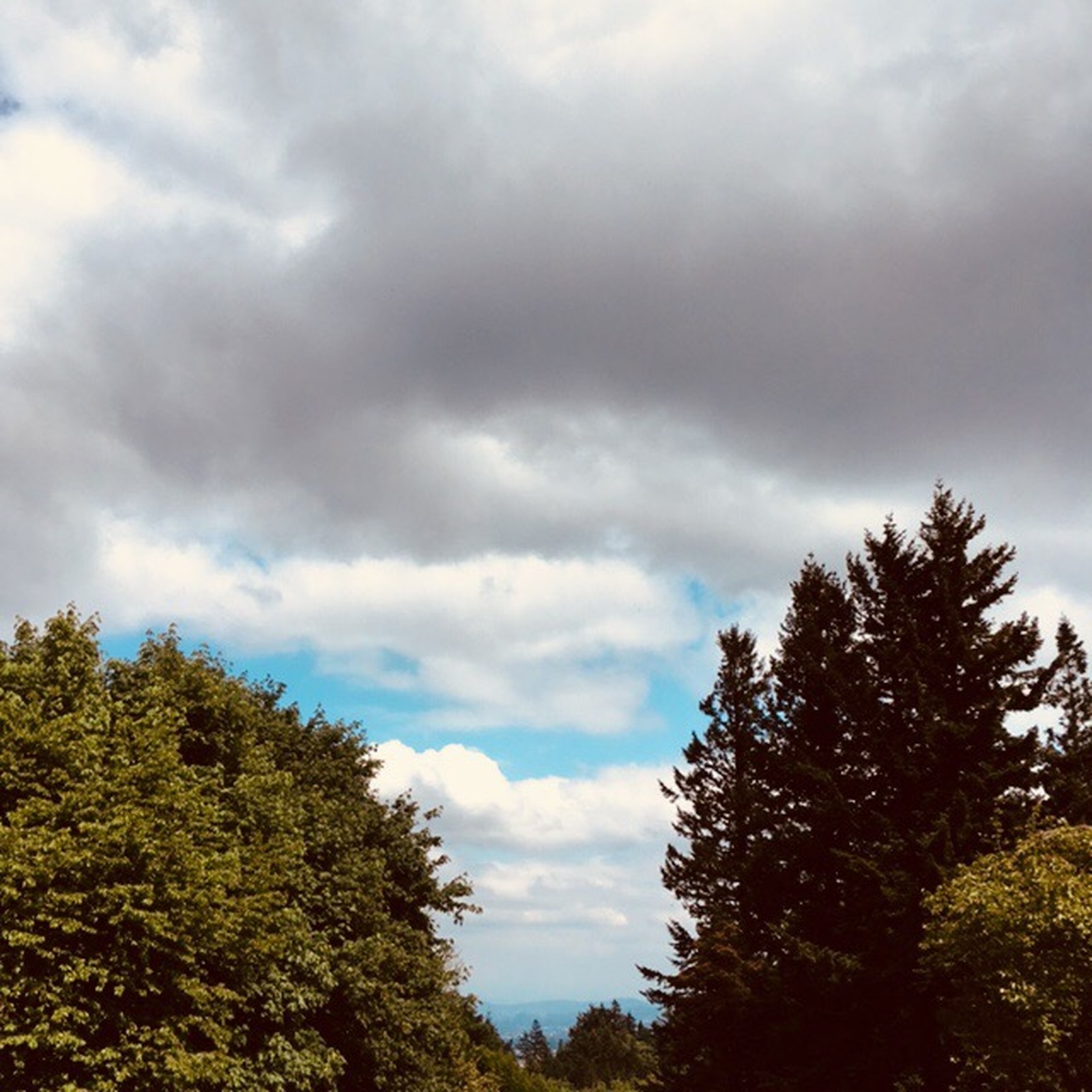 View from Council Crest toward Mt. Hood, which is NOT visible