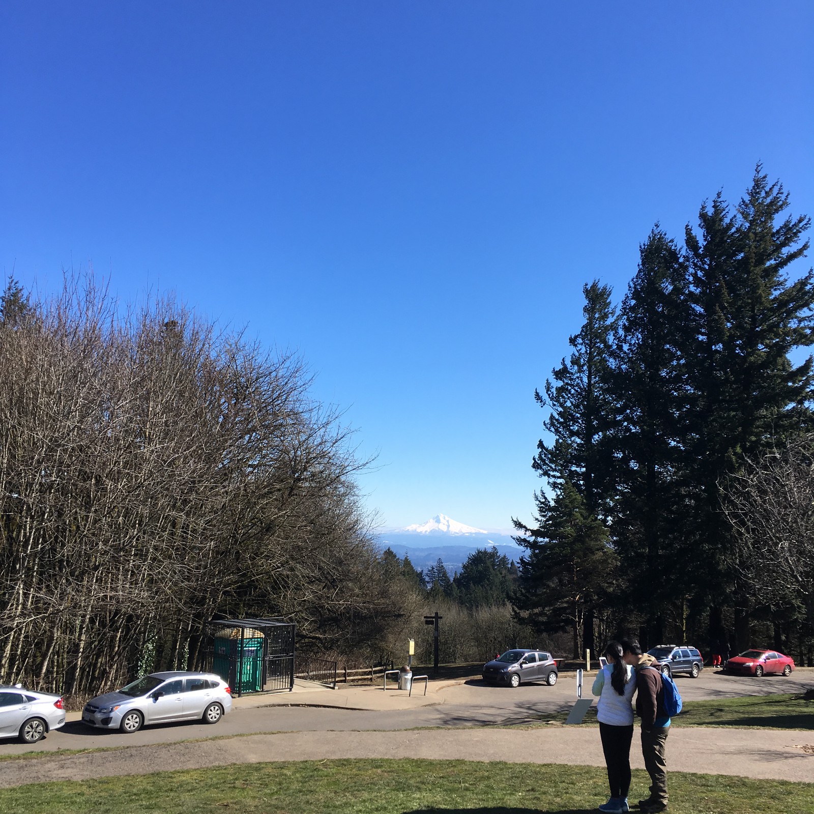 View from Council Crest toward Mt. Hood, which is visible