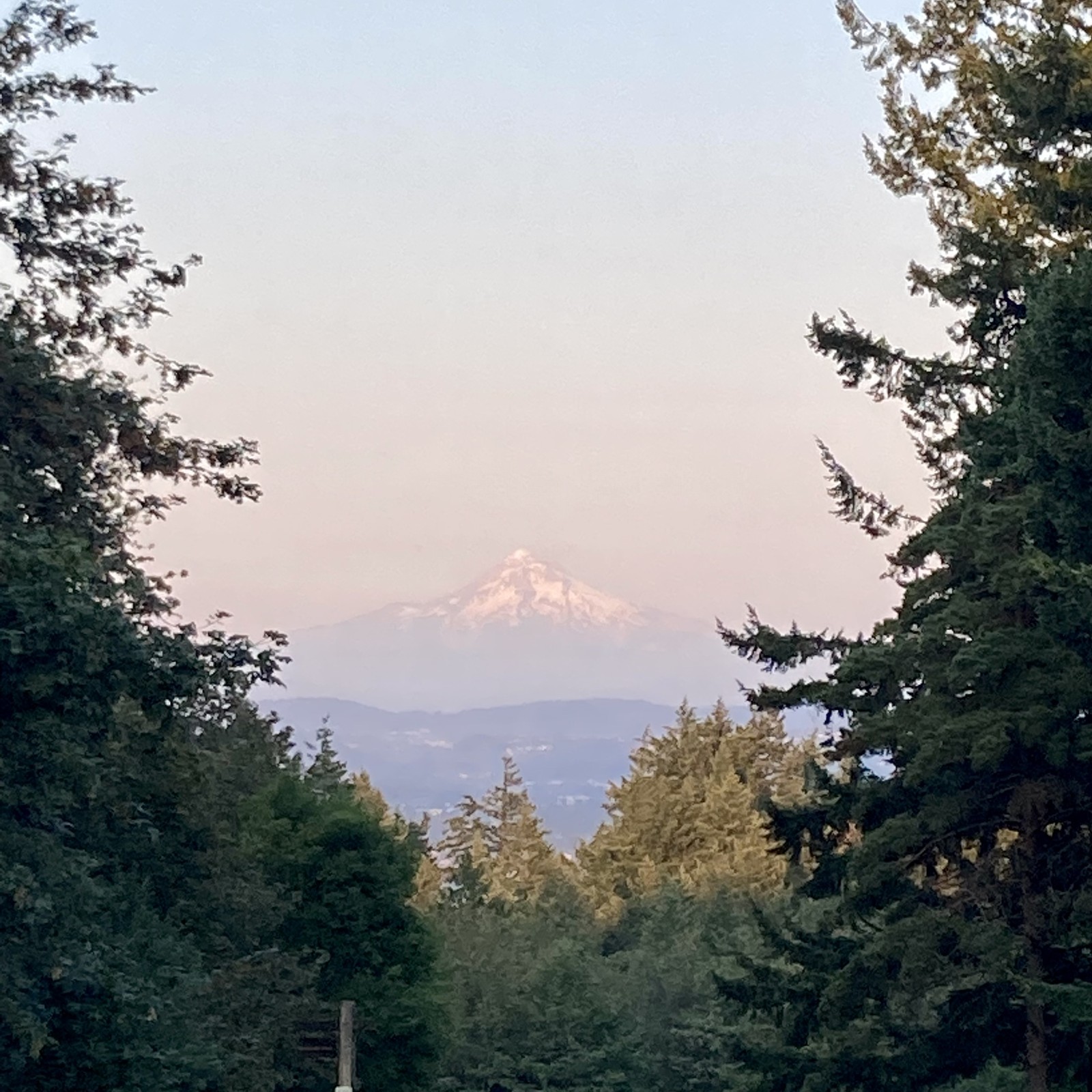 View from Council Crest toward Mt. Hood, which is visible