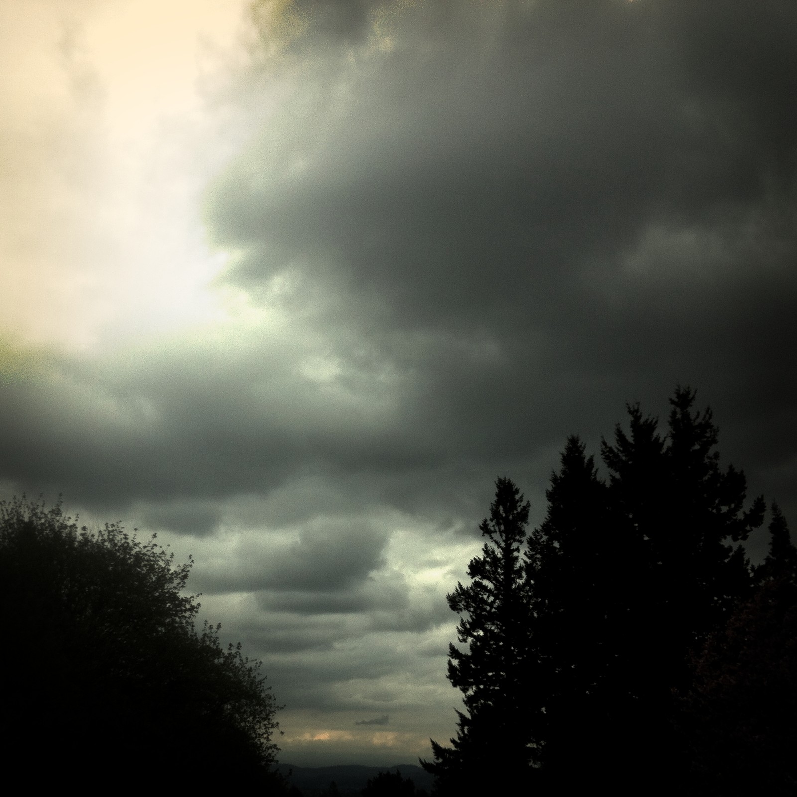 View from Council Crest toward Mt. Hood, which is NOT visible