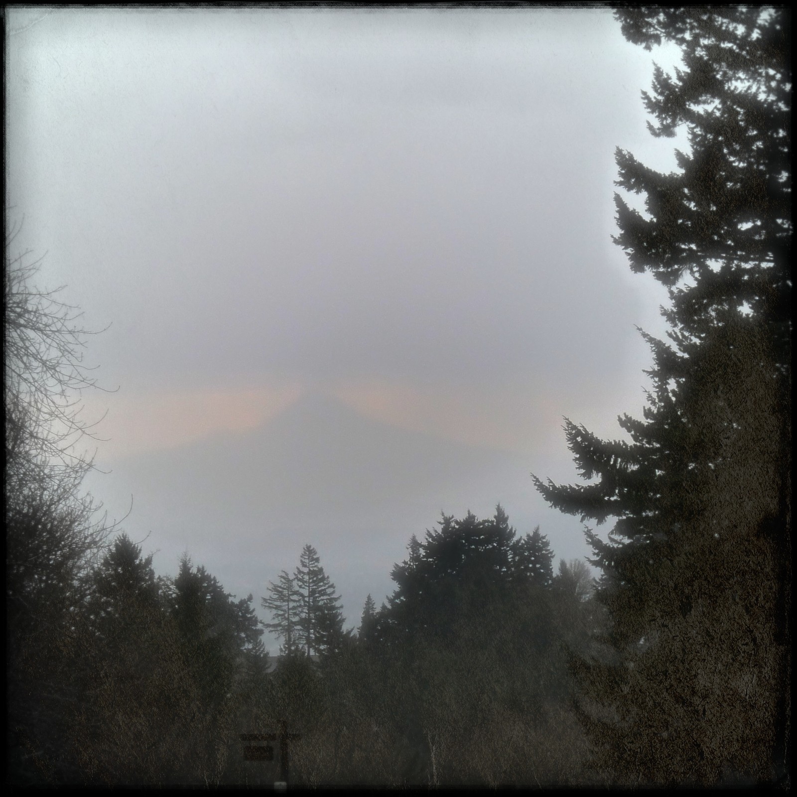 View from Council Crest toward Mt. Hood, which is visible