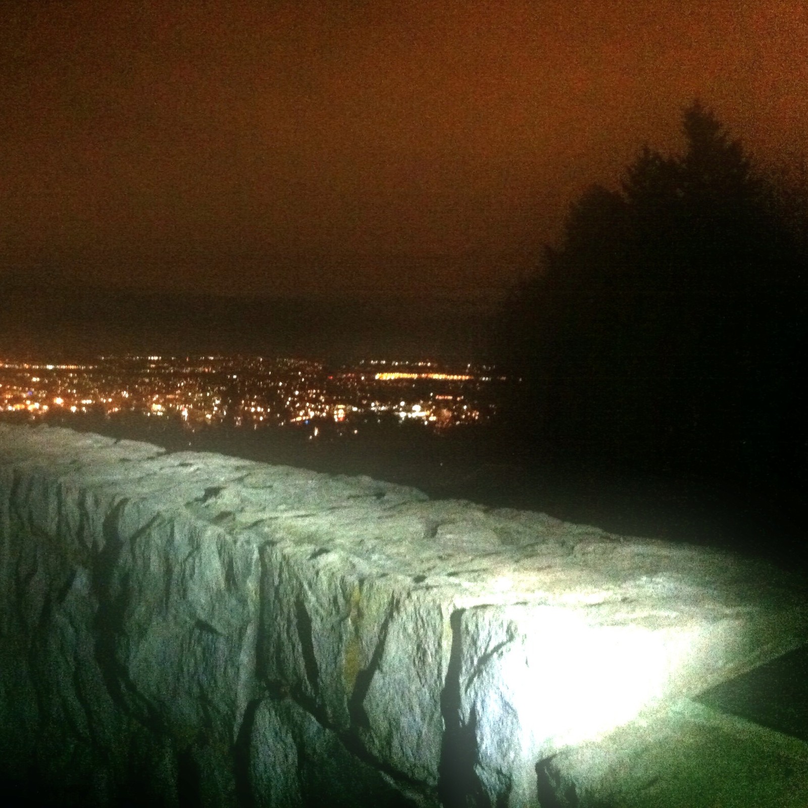 View from Council Crest toward Mt. Hood, which is NOT visible