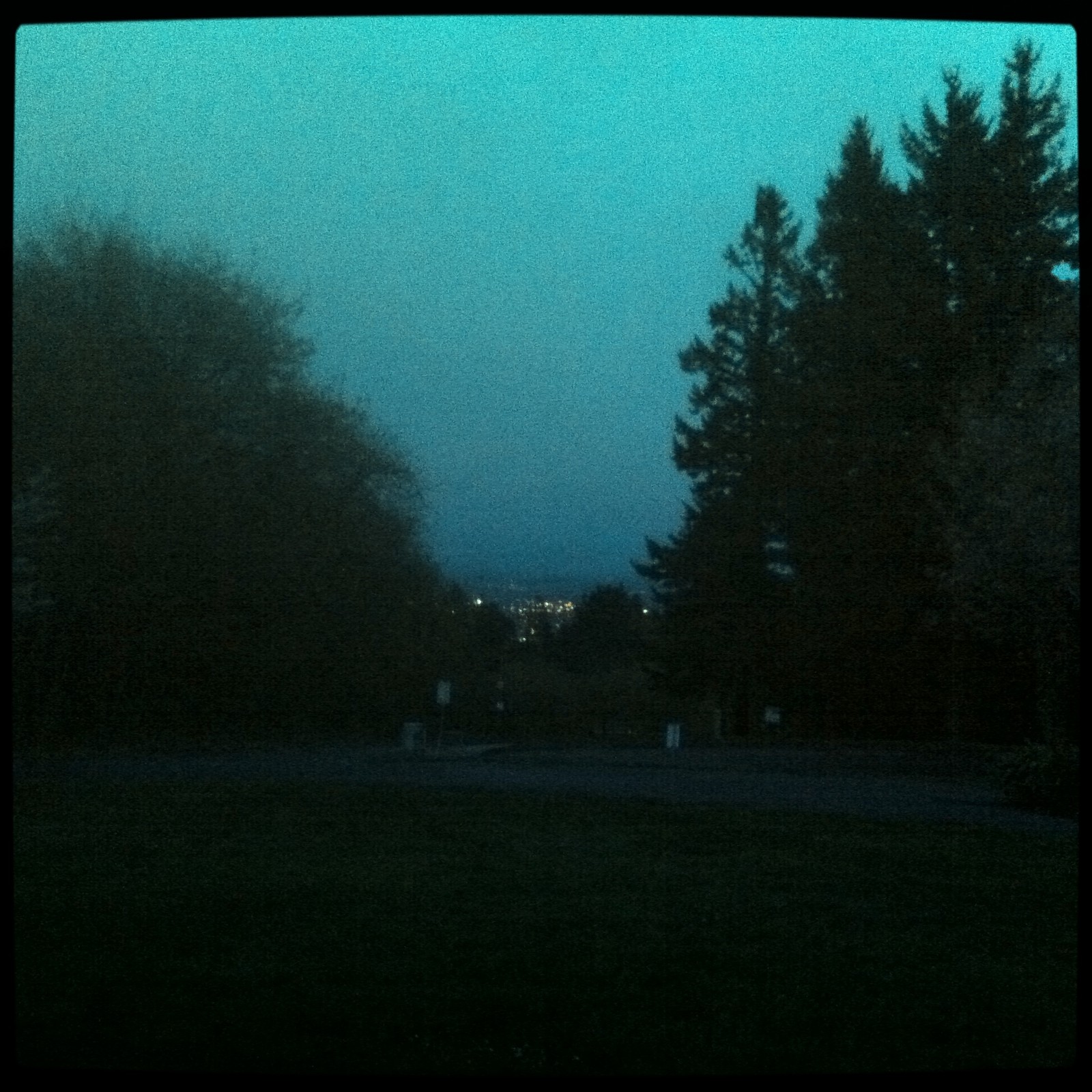 View from Council Crest toward Mt. Hood, which is NOT visible