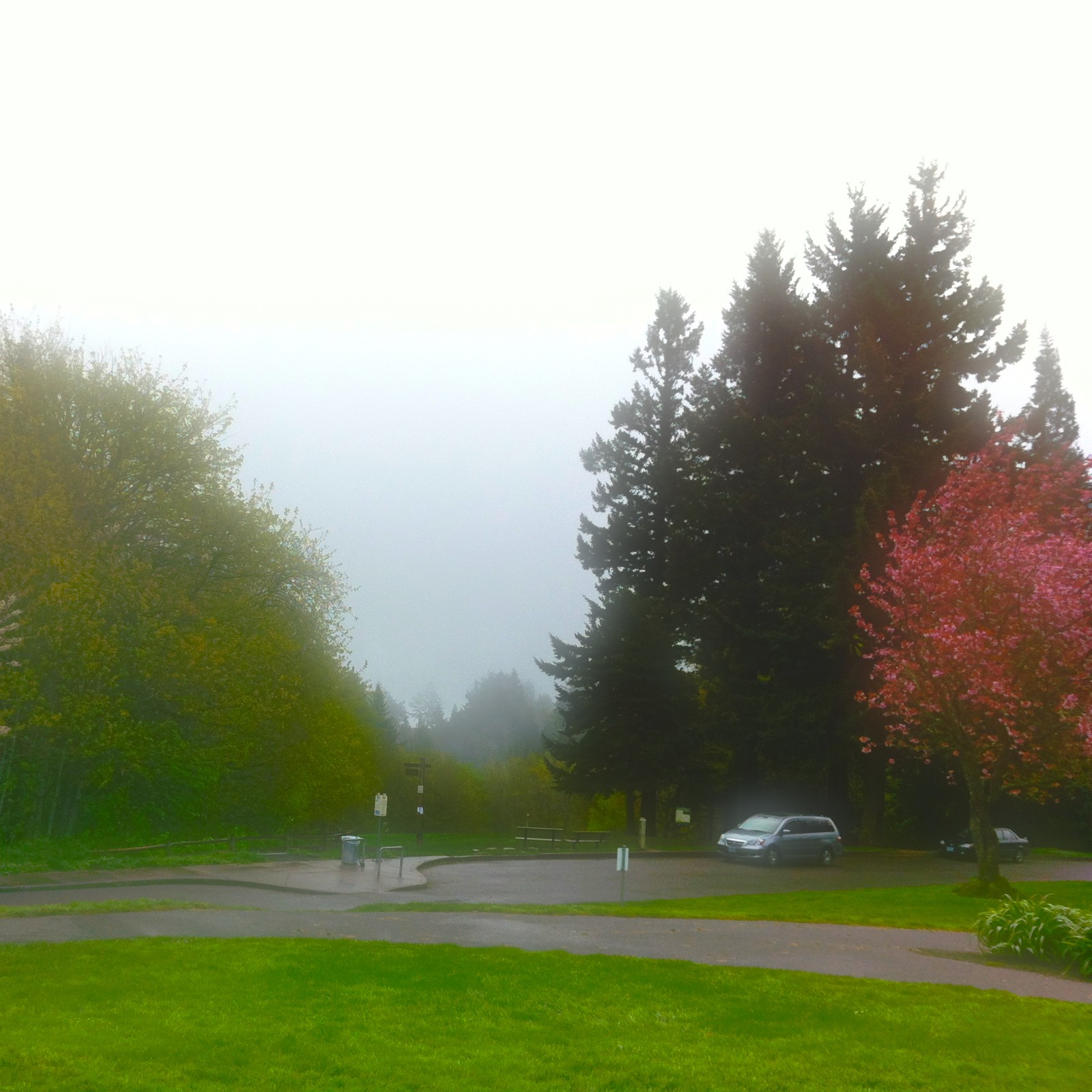 View from Council Crest toward Mt. Hood, which is NOT visible