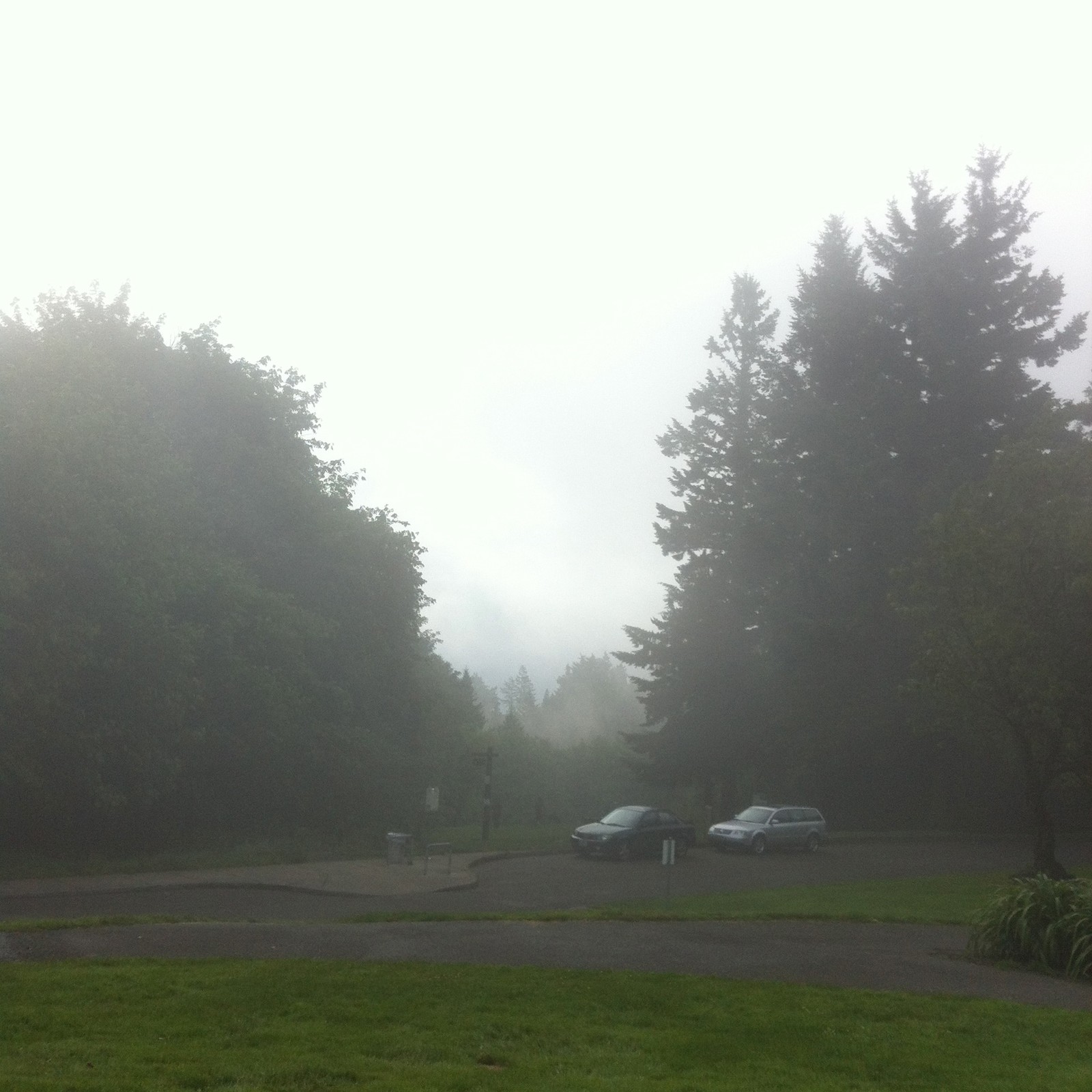 View from Council Crest toward Mt. Hood, which is NOT visible