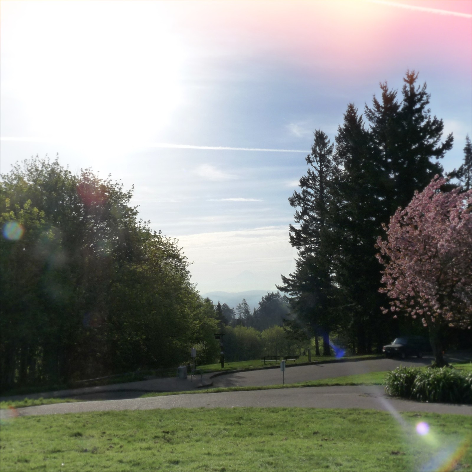 View from Council Crest toward Mt. Hood, which is visible