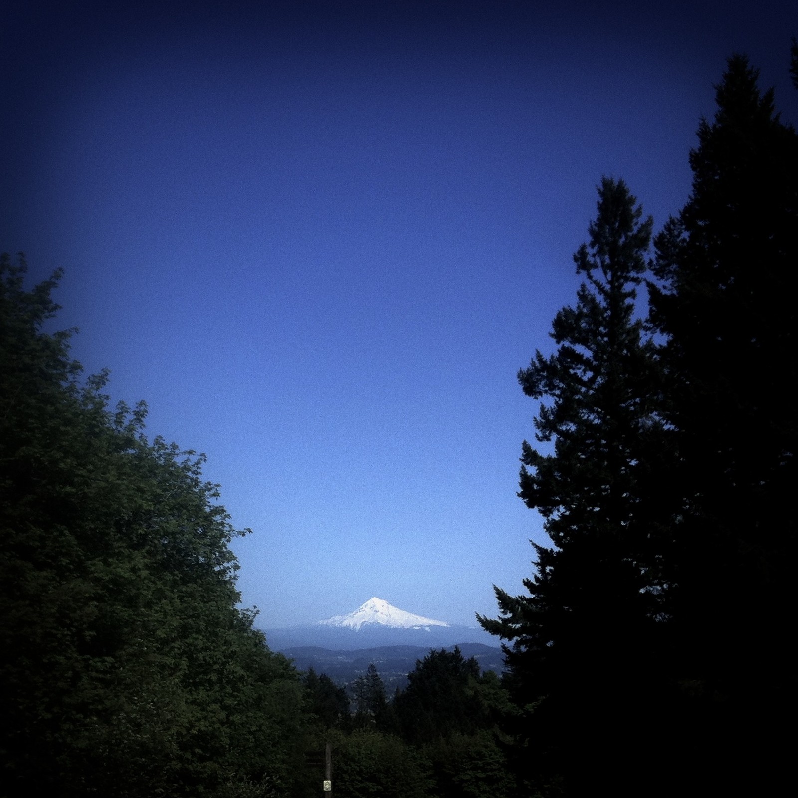 View from Council Crest toward Mt. Hood, which is visible