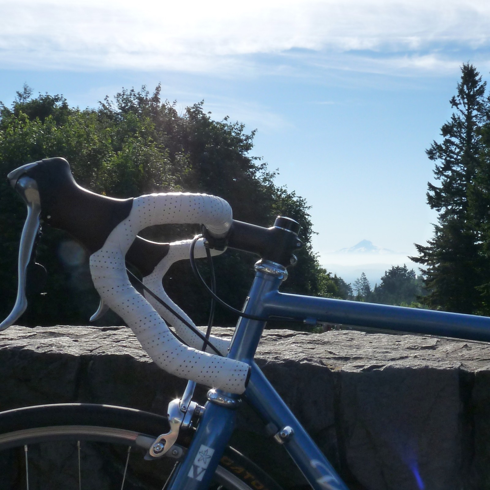 View from Council Crest toward Mt. Hood, which is visible
