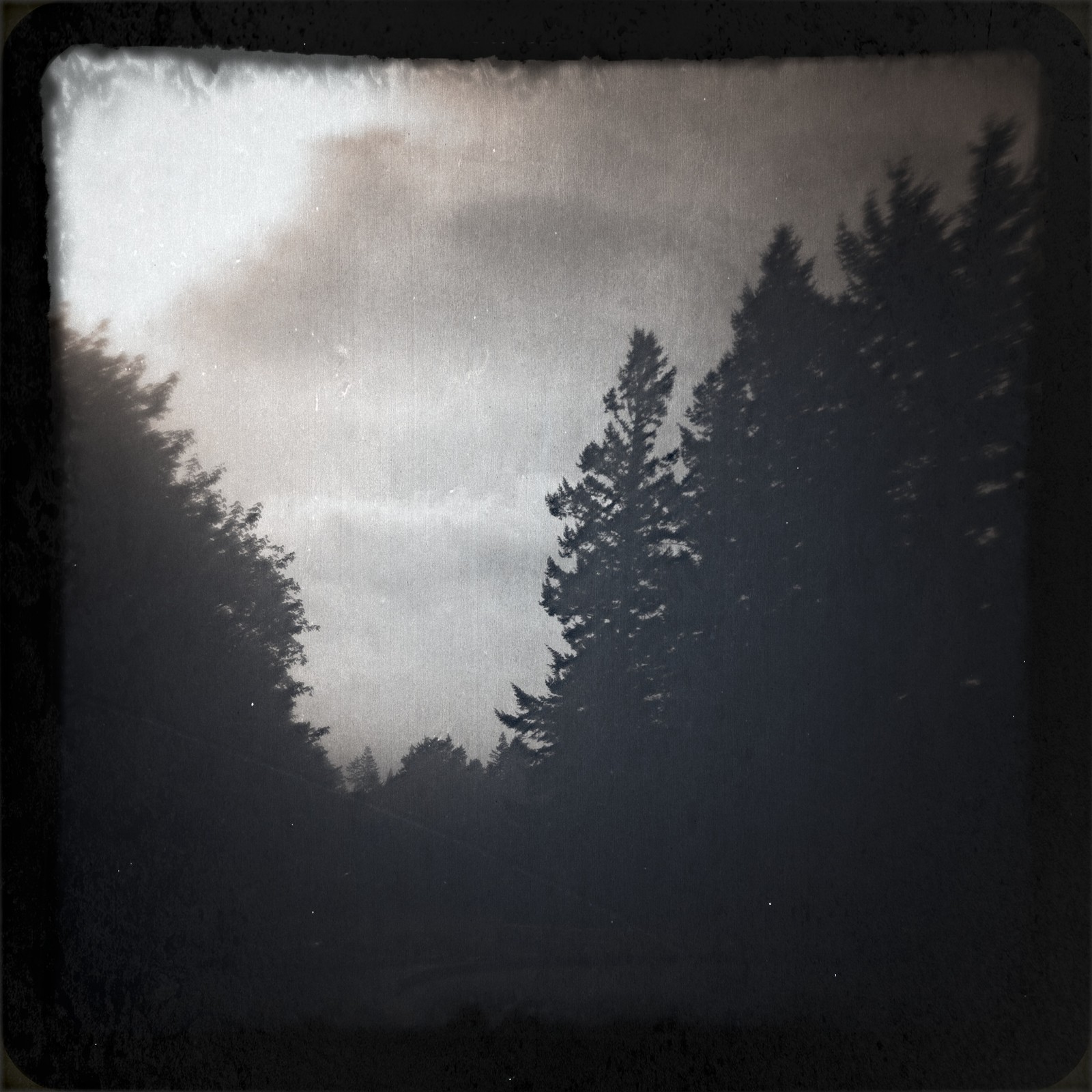 View from Council Crest toward Mt. Hood, which is NOT visible