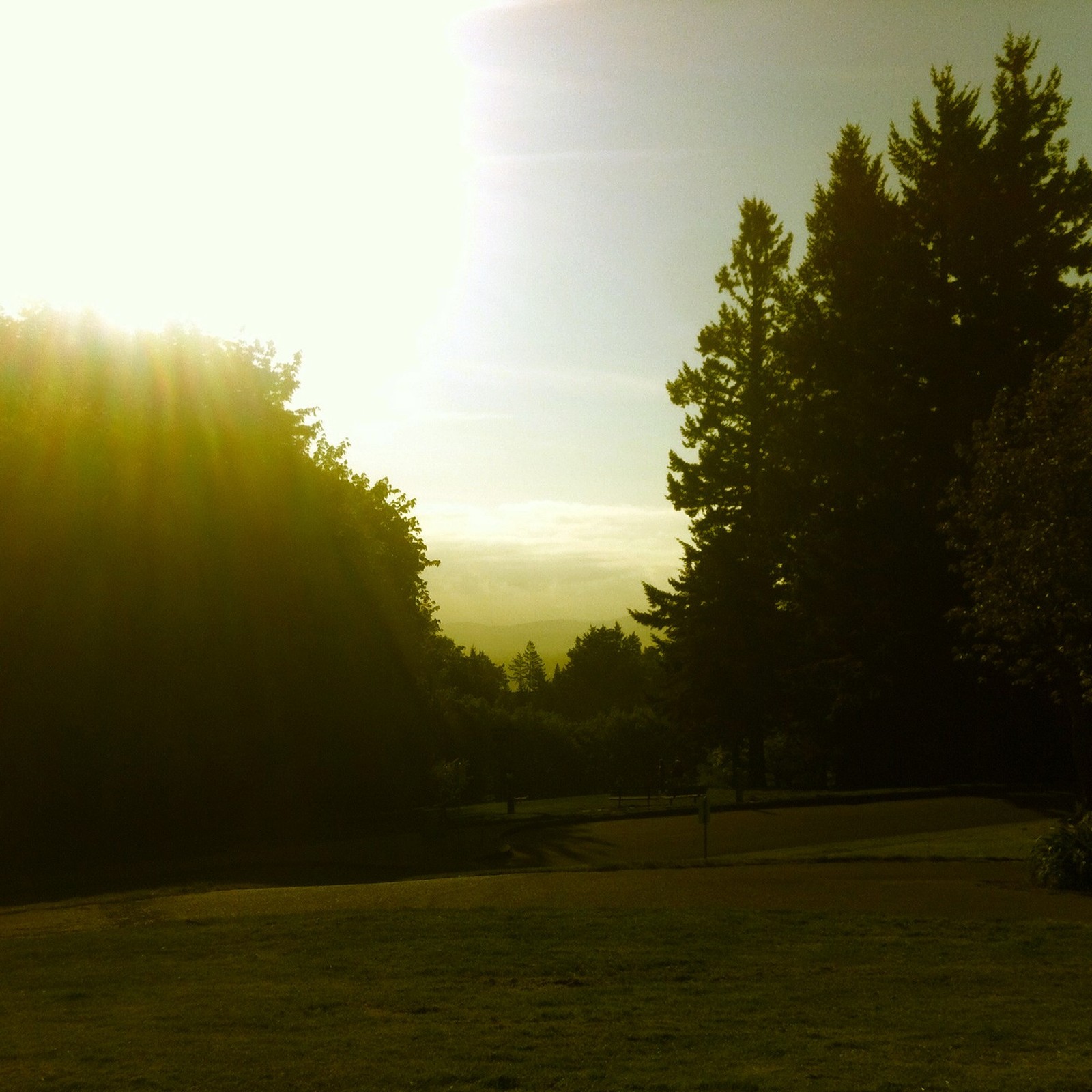 View from Council Crest toward Mt. Hood, which is NOT visible