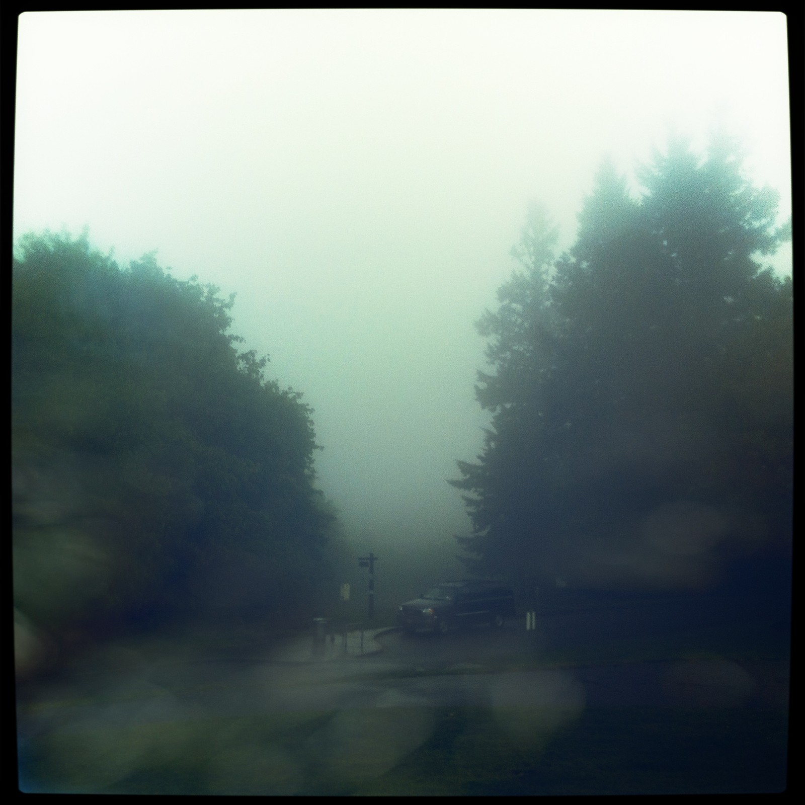 View from Council Crest toward Mt. Hood, which is NOT visible