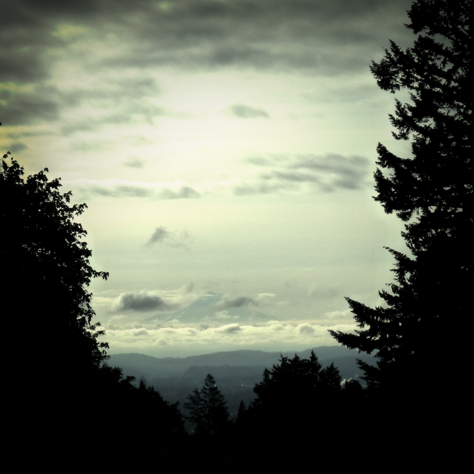 View from Council Crest toward Mt. Hood, which is visible
