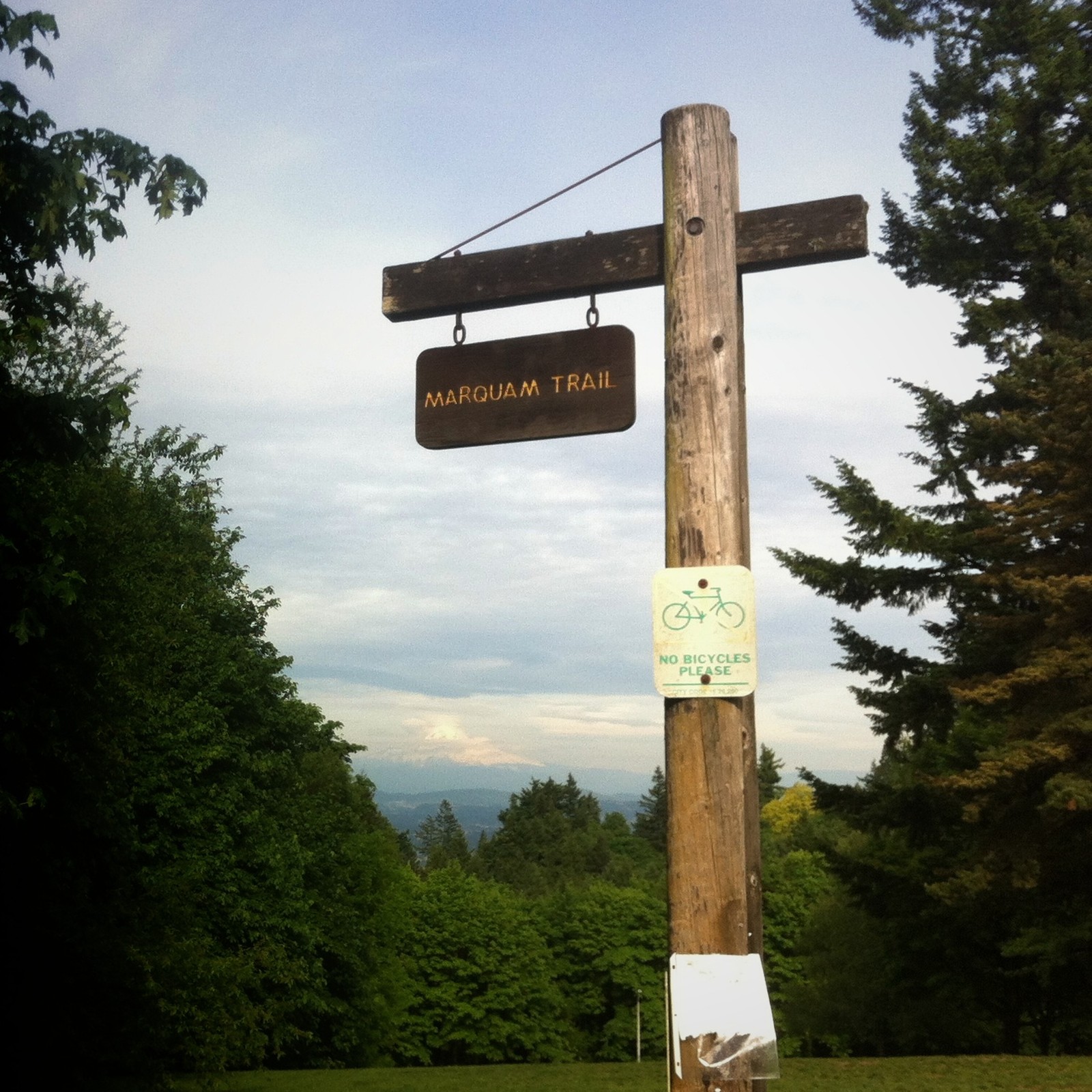 View from Council Crest toward Mt. Hood, which is visible