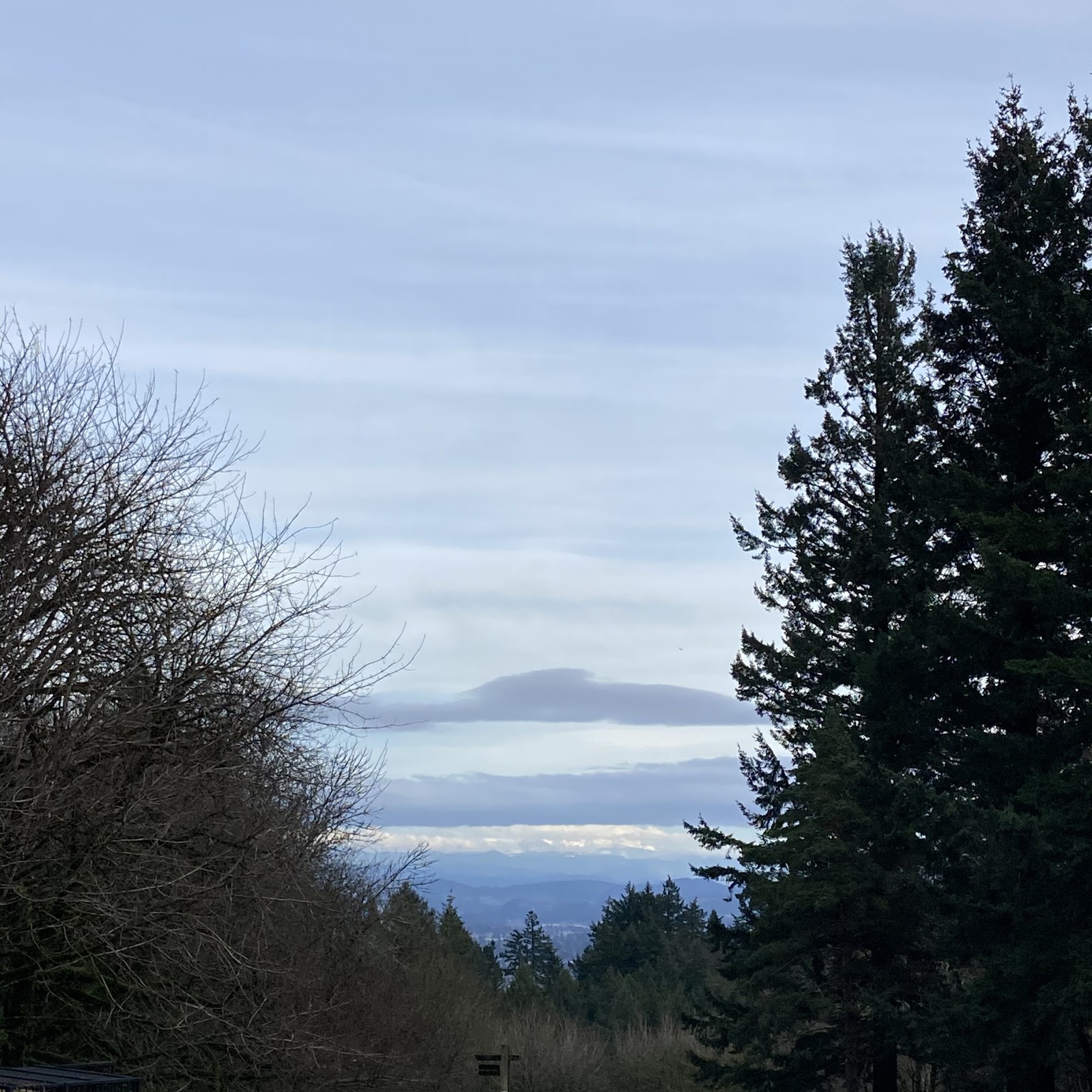 View from Council Crest toward Mt. Hood, which is NOT visible