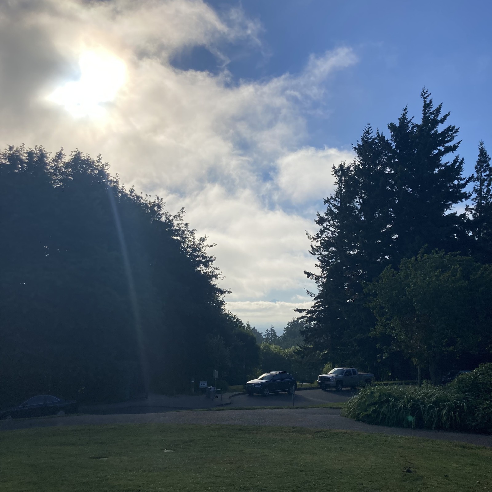 View from Council Crest toward Mt. Hood, which is visible