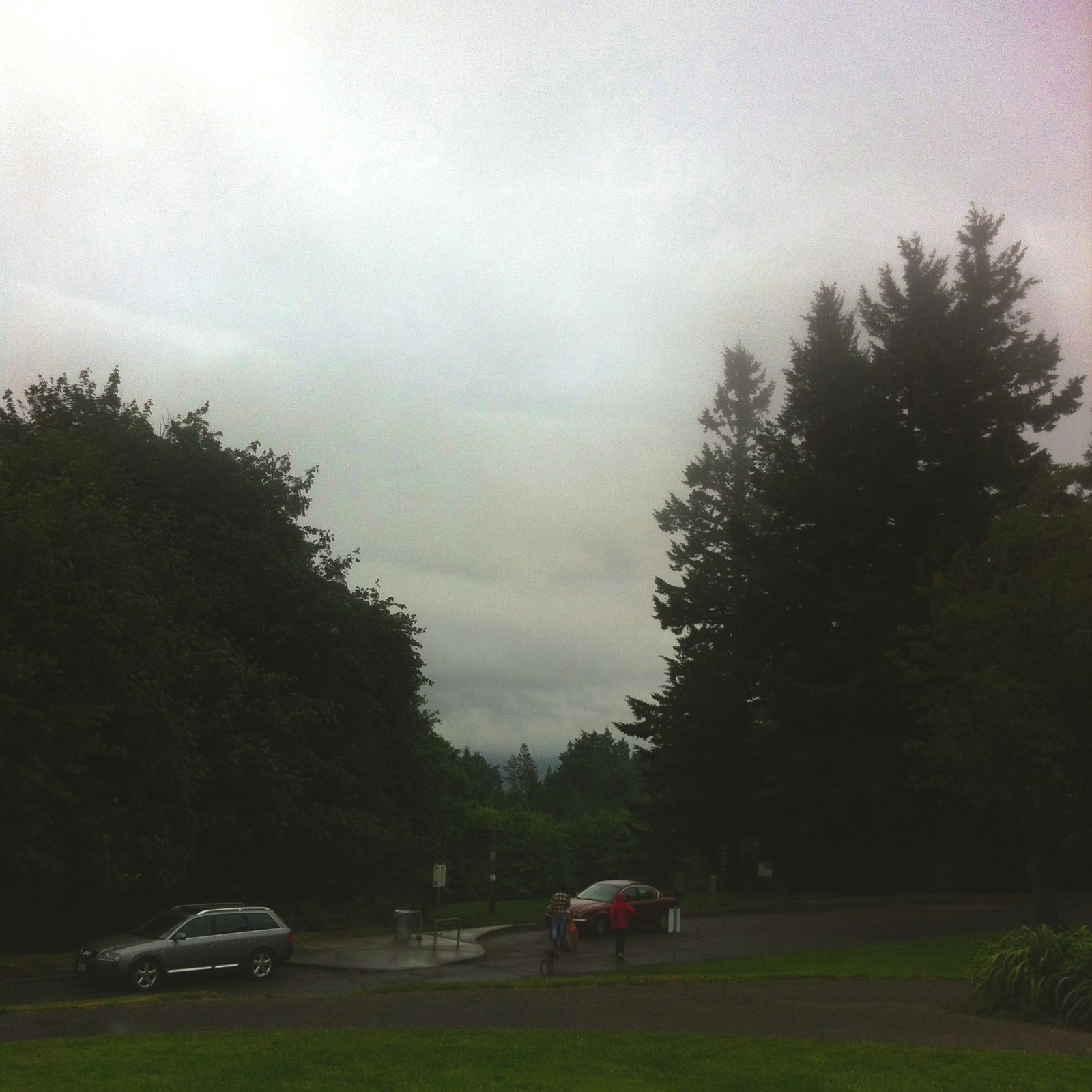 View from Council Crest toward Mt. Hood, which is NOT visible