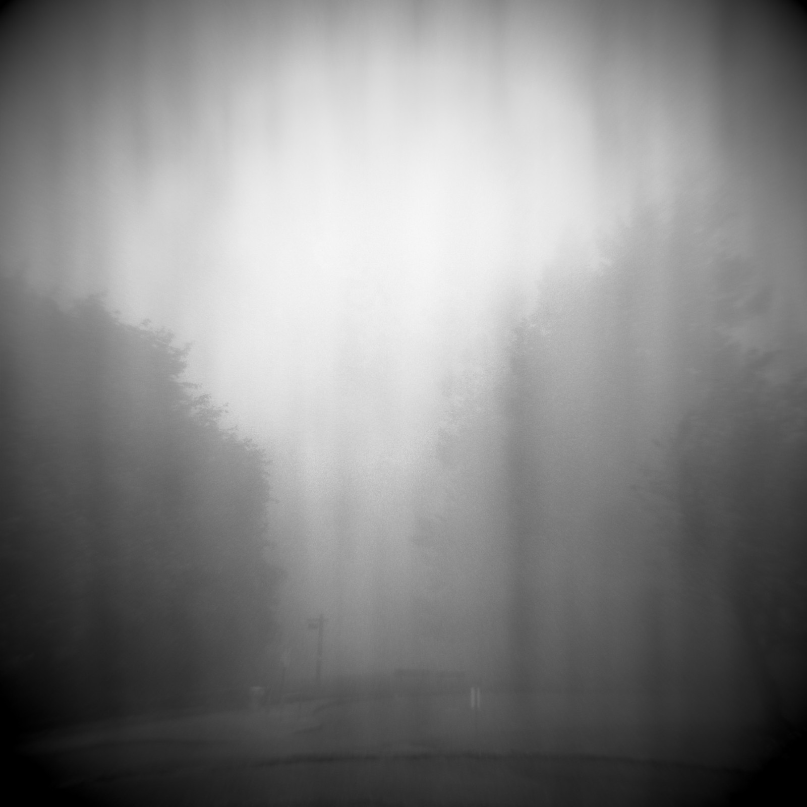 View from Council Crest toward Mt. Hood, which is NOT visible