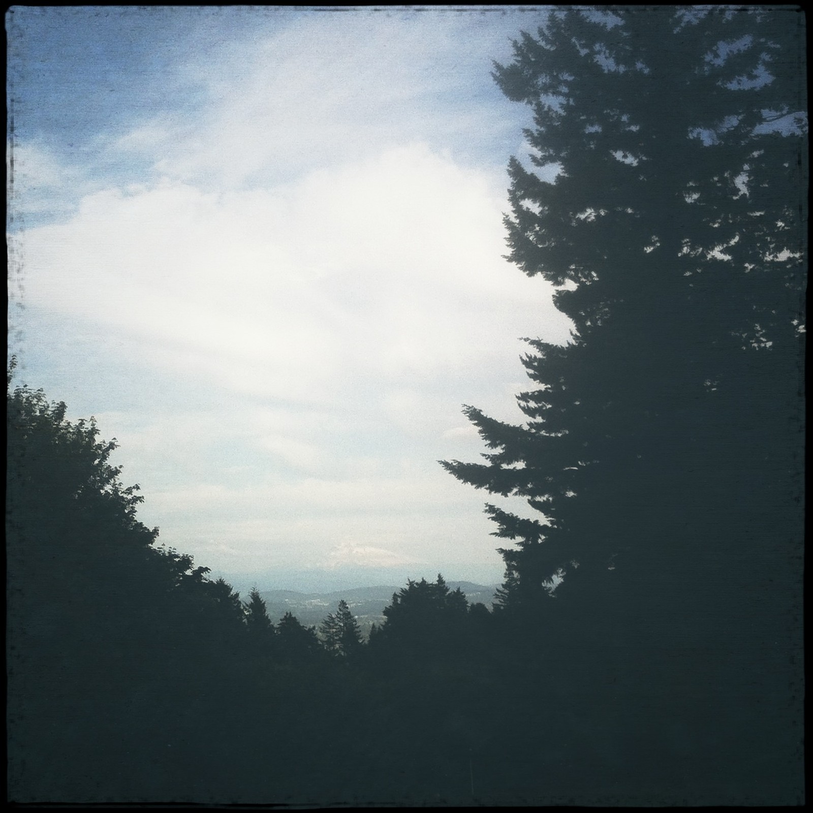 View from Council Crest toward Mt. Hood, which is visible