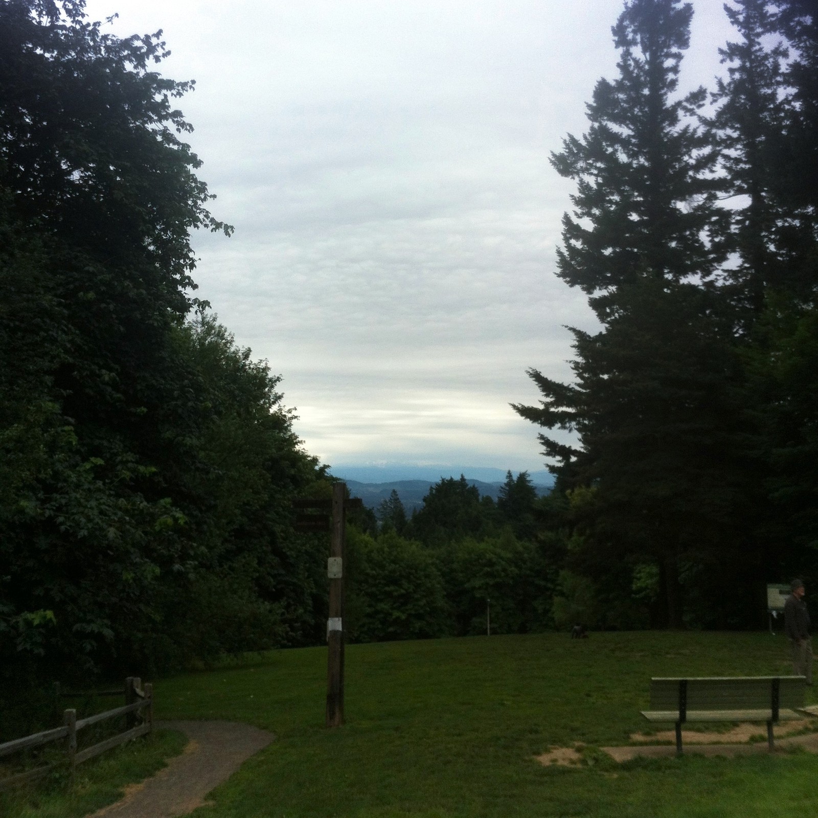 View from Council Crest toward Mt. Hood, which is visible