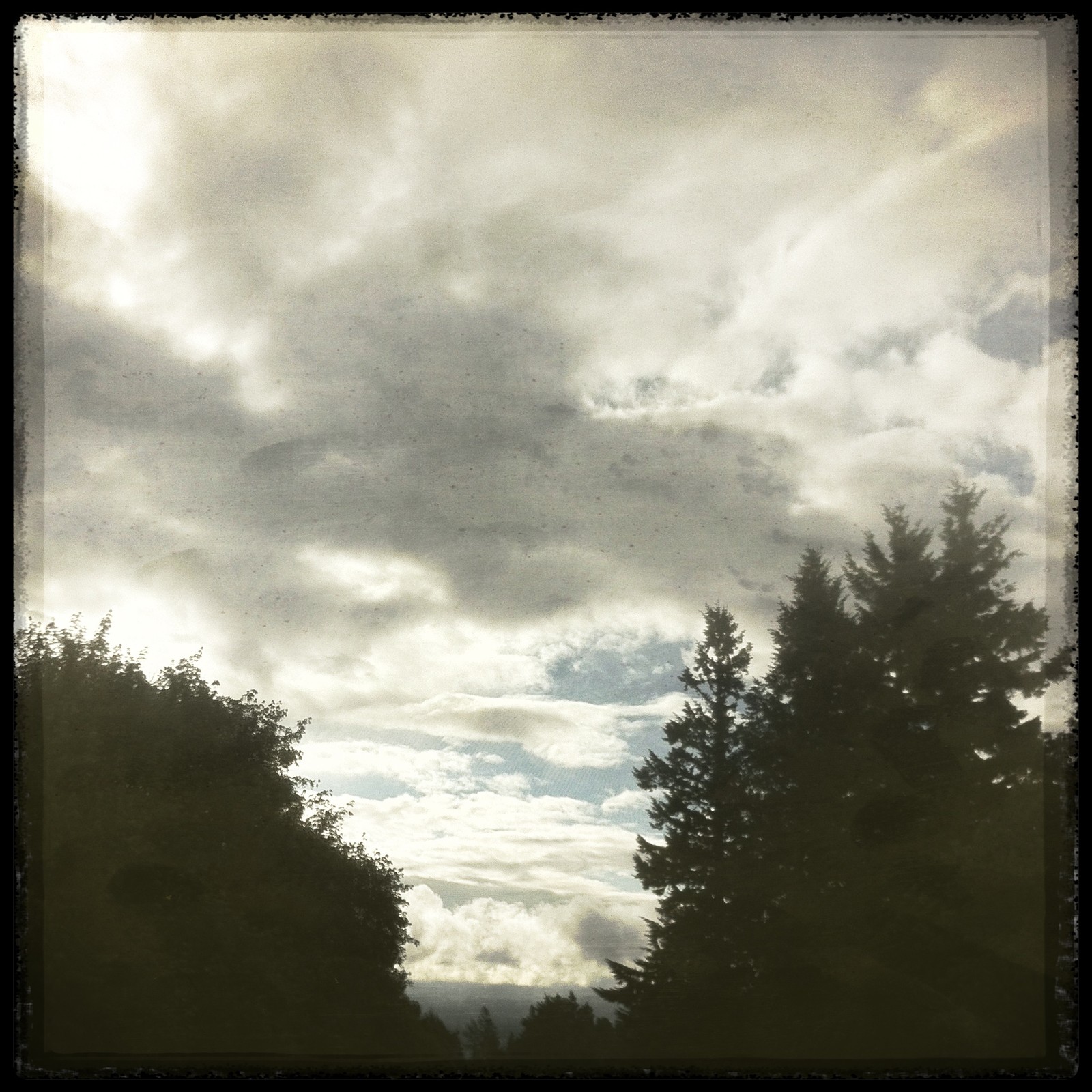 View from Council Crest toward Mt. Hood, which is NOT visible