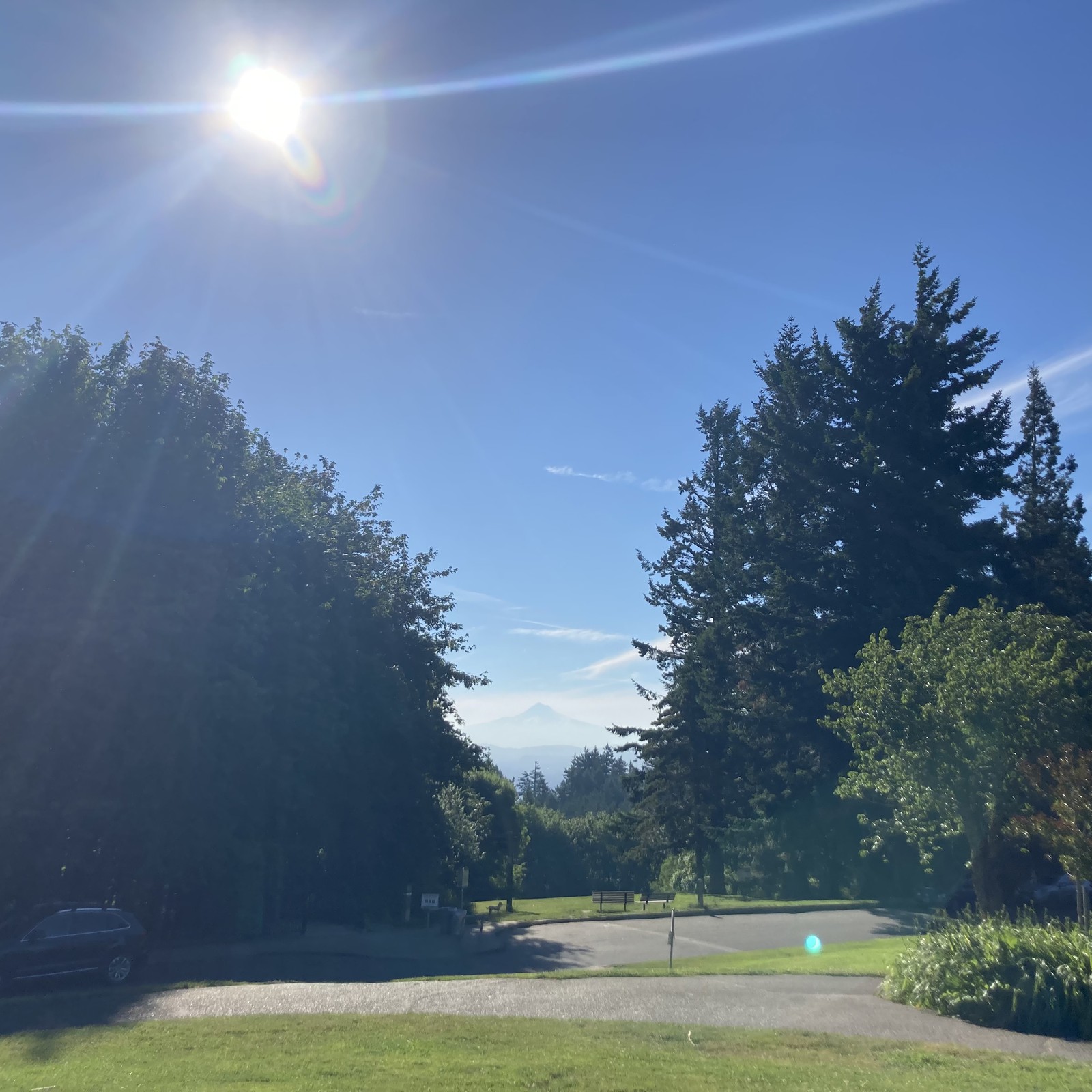 View from Council Crest toward Mt. Hood, which is visible
