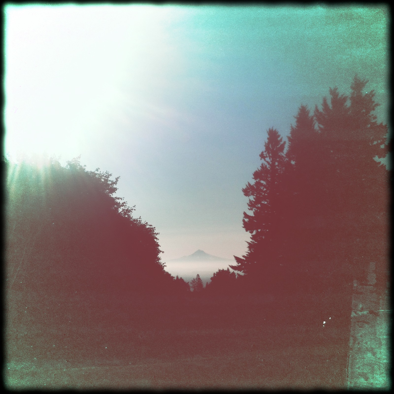 View from Council Crest toward Mt. Hood, which is visible