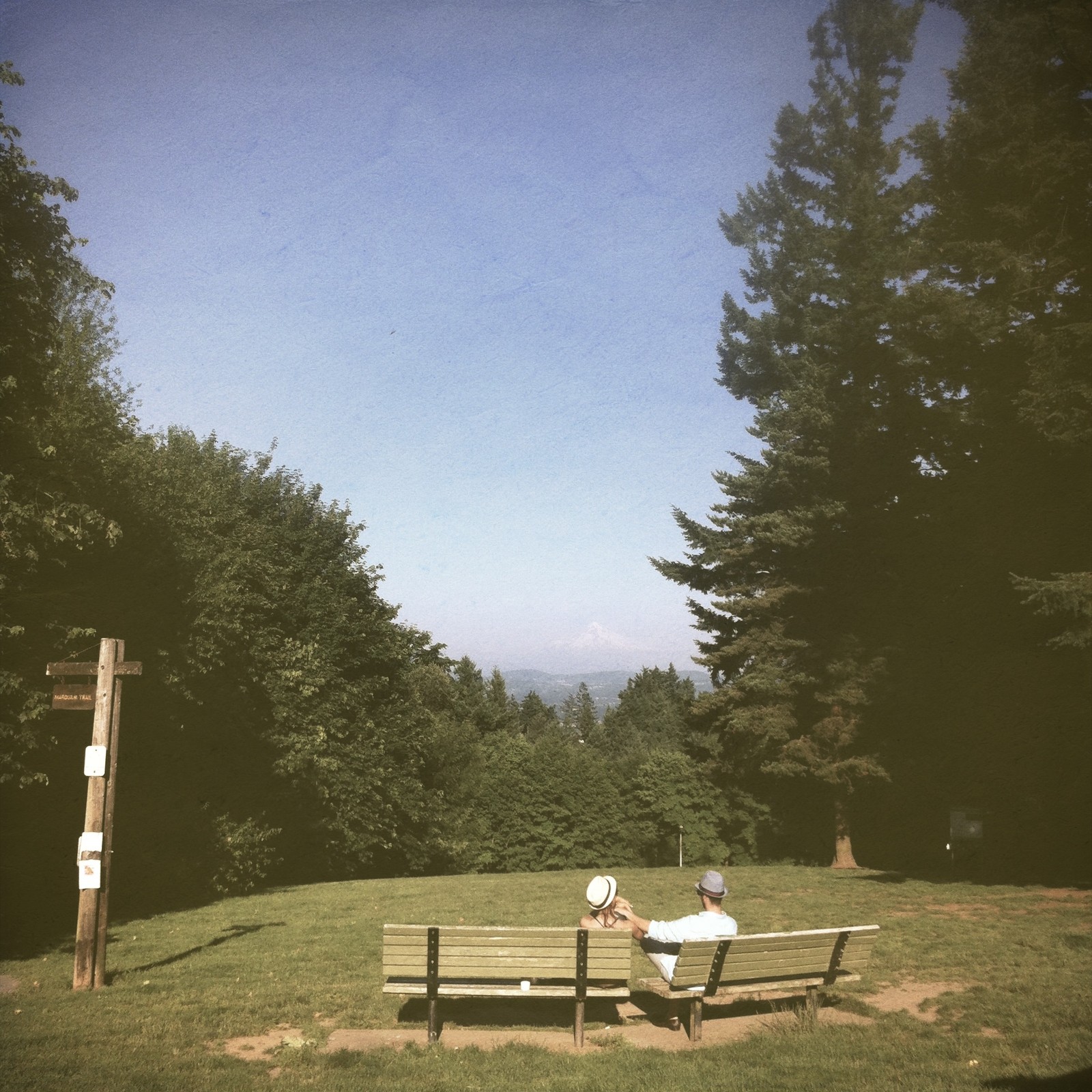 View from Council Crest toward Mt. Hood, which is visible
