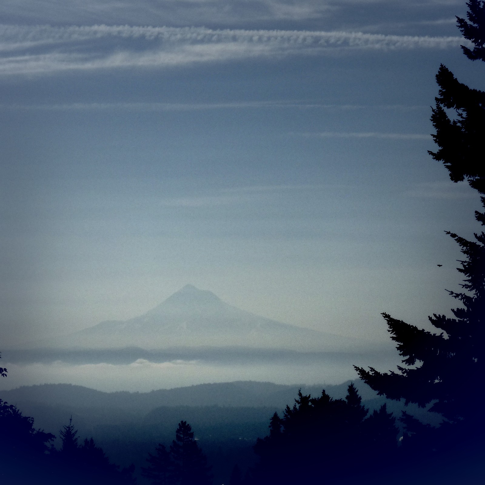 View from Council Crest toward Mt. Hood, which is visible