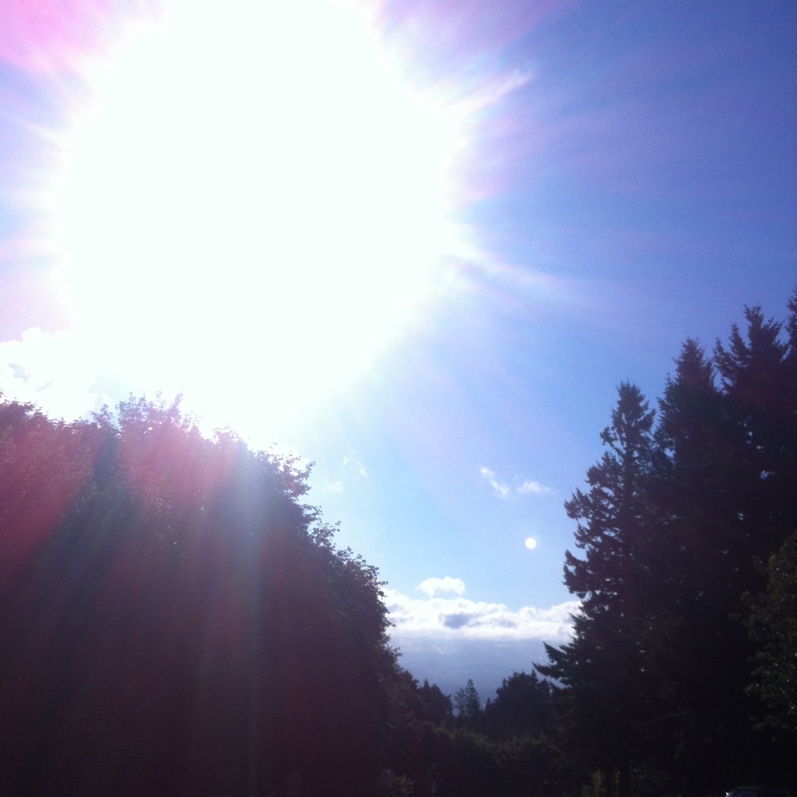 View from Council Crest toward Mt. Hood, which is NOT visible