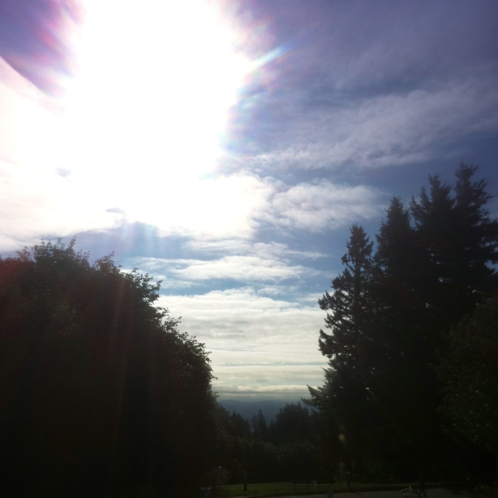 View from Council Crest toward Mt. Hood, which is visible