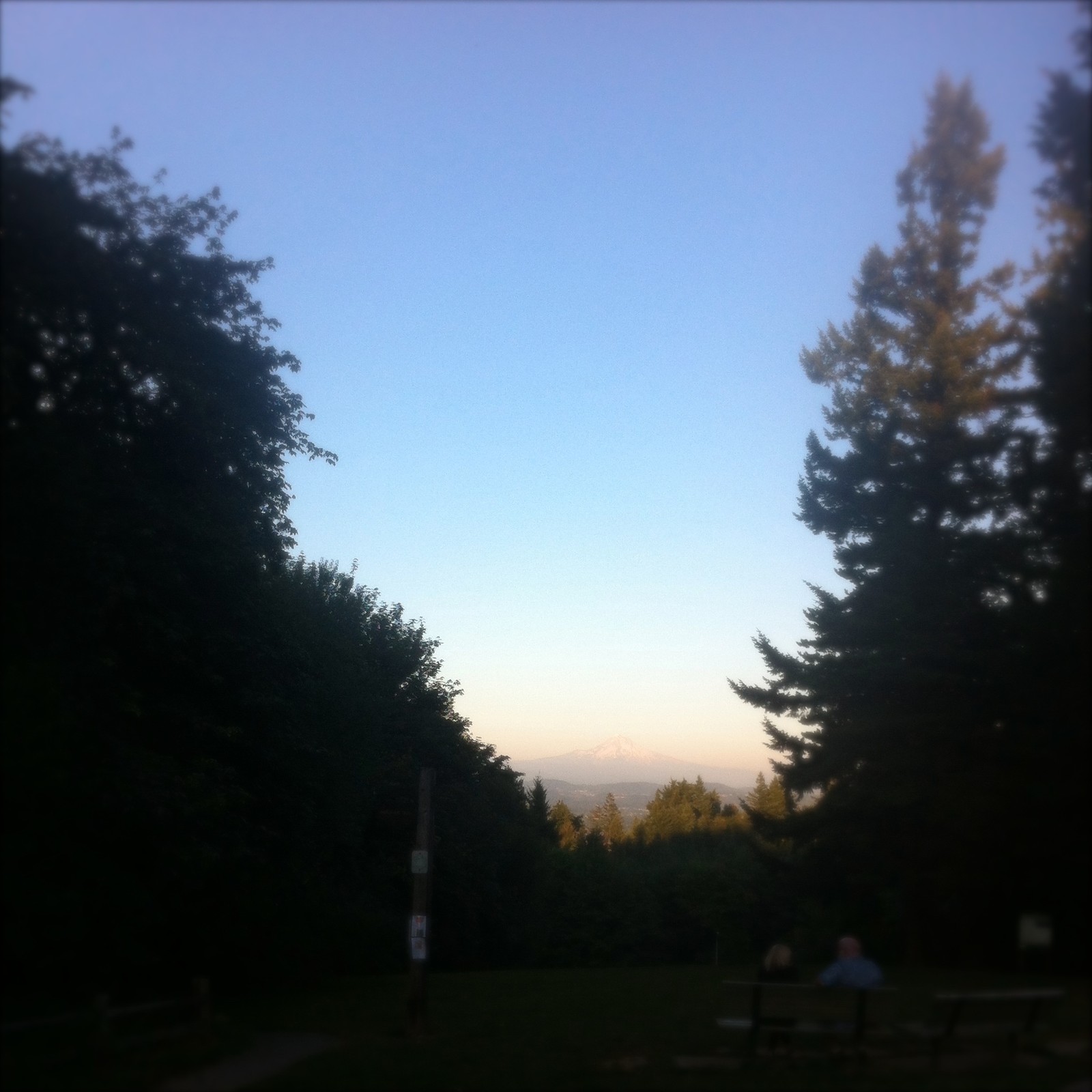 View from Council Crest toward Mt. Hood, which is visible