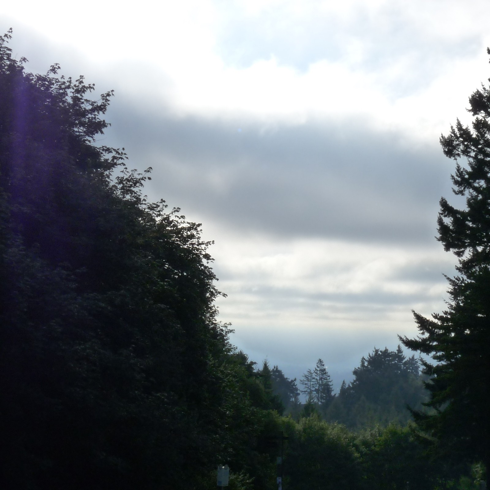 View from Council Crest toward Mt. Hood, which is NOT visible