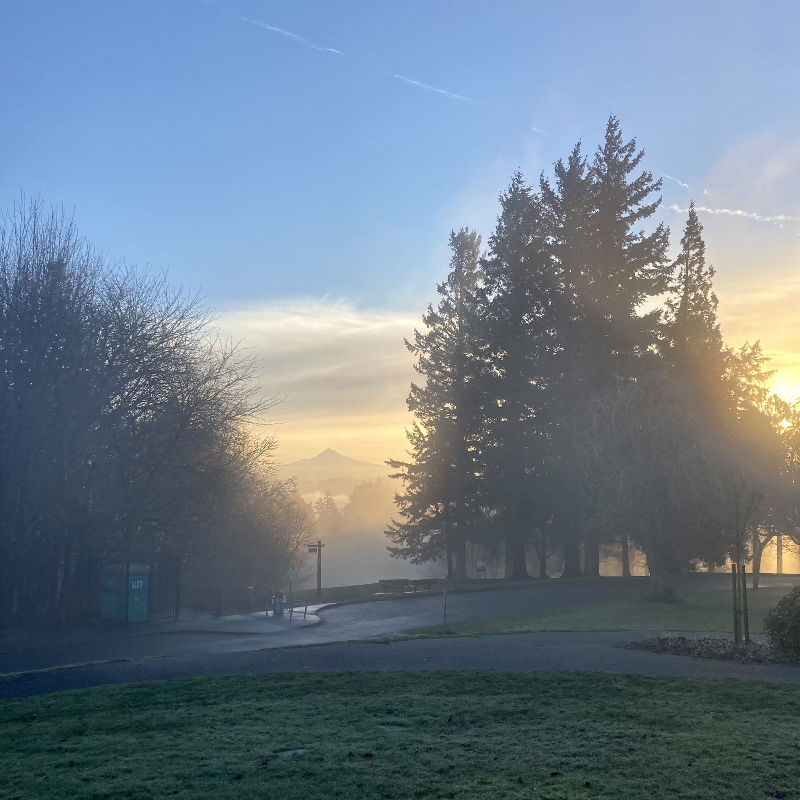 View from Council Crest toward Mt. Hood, which is visible