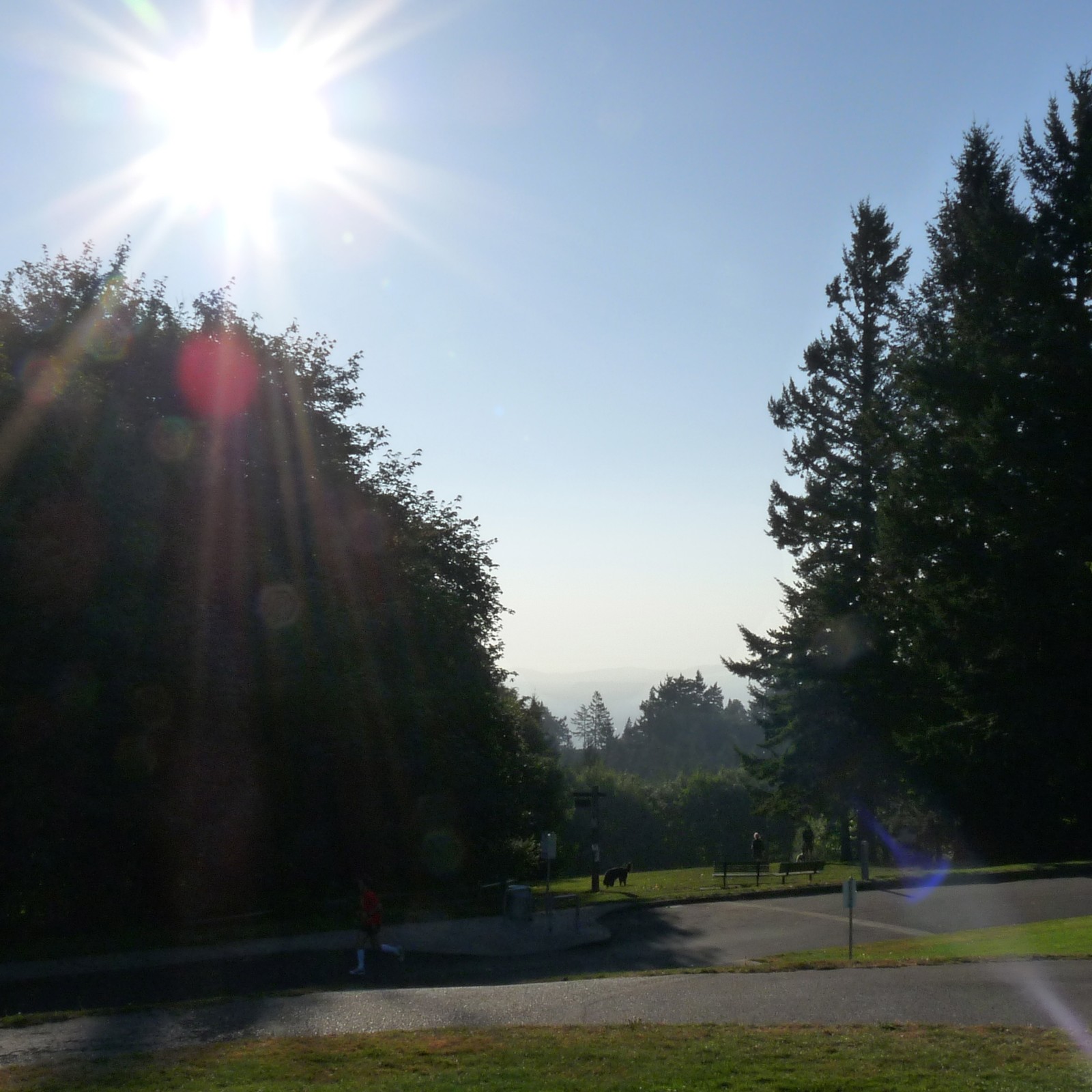 View from Council Crest toward Mt. Hood, which is NOT visible