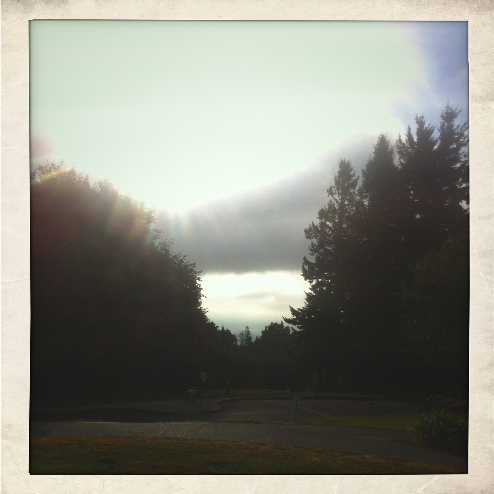 View from Council Crest toward Mt. Hood, which is NOT visible