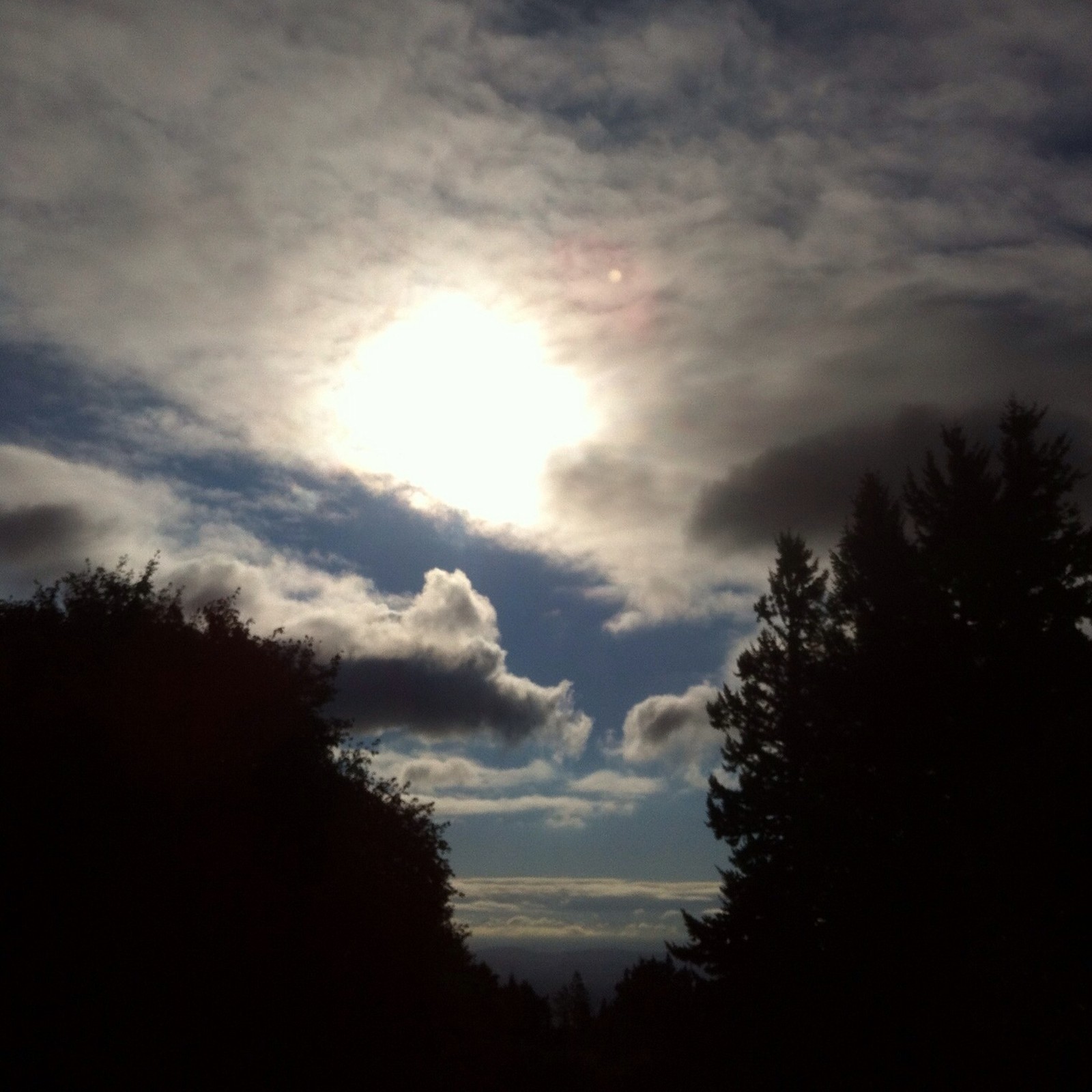 View from Council Crest toward Mt. Hood, which is NOT visible