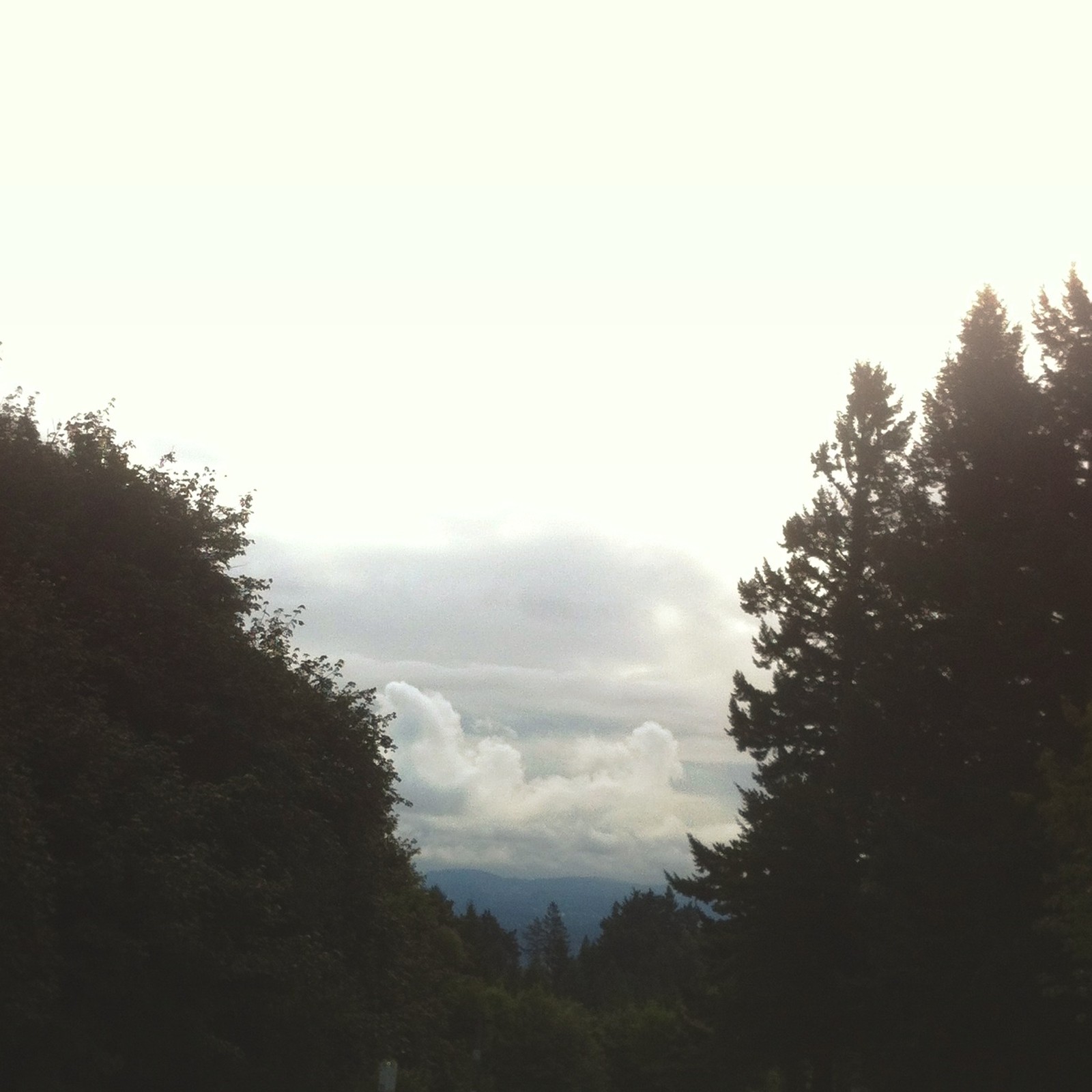 View from Council Crest toward Mt. Hood, which is NOT visible