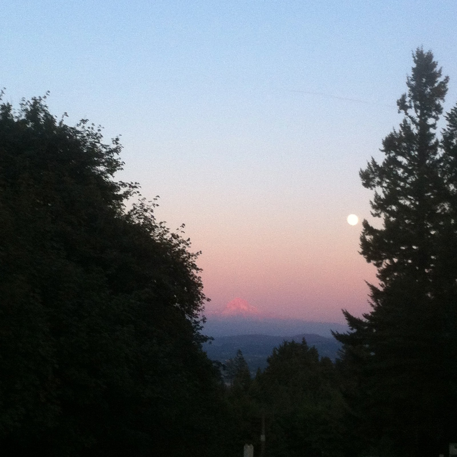 View from Council Crest toward Mt. Hood, which is visible