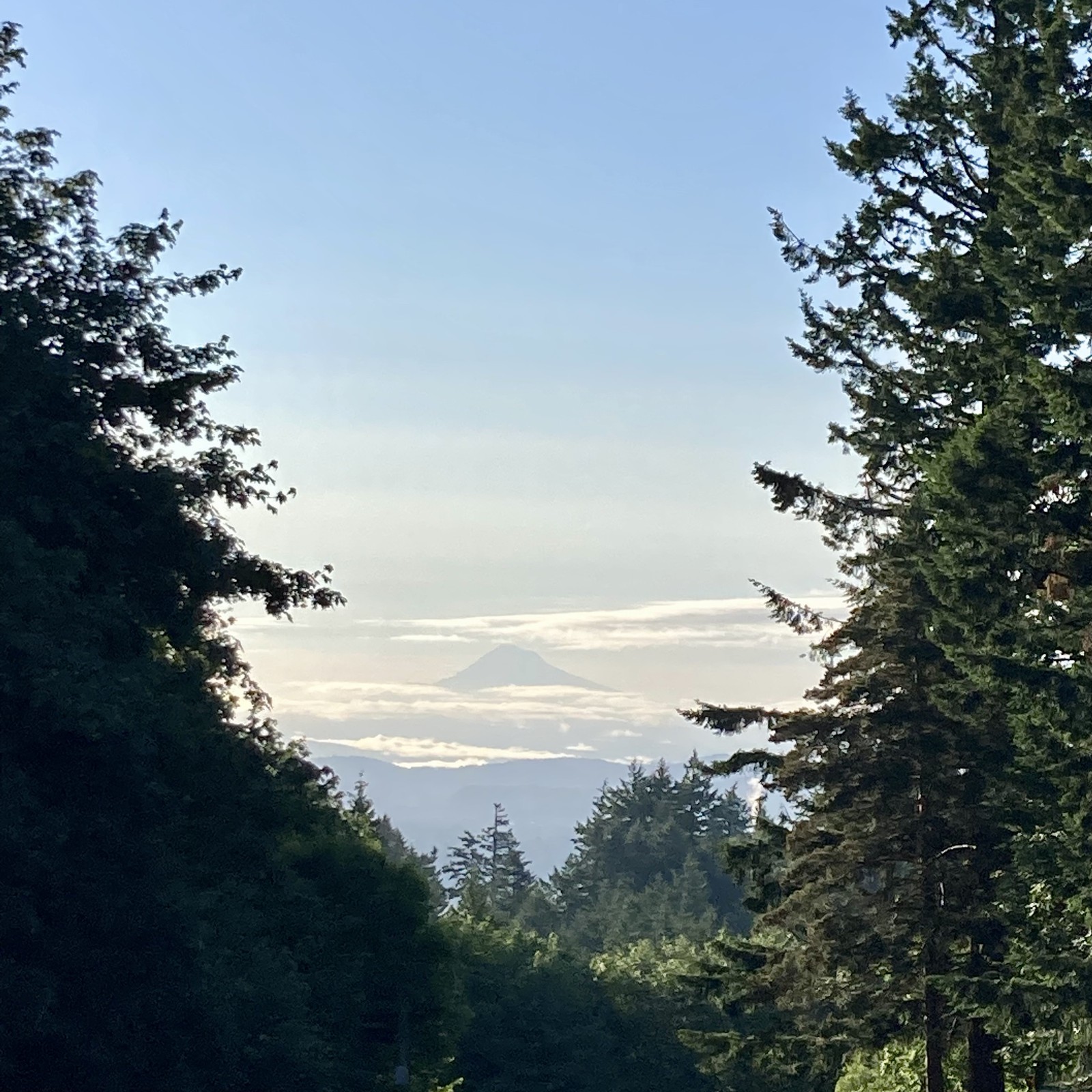 View from Council Crest toward Mt. Hood, which is visible