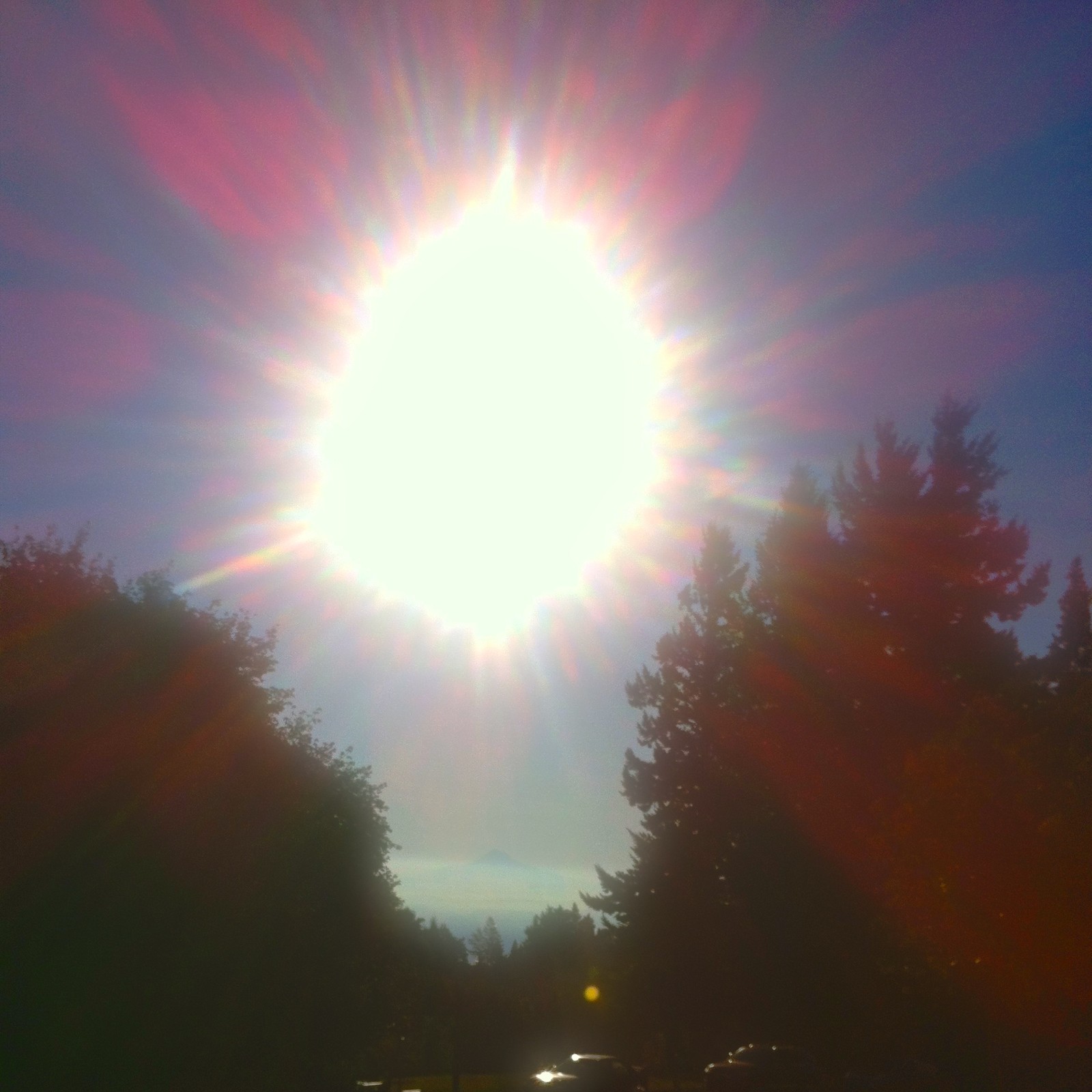 View from Council Crest toward Mt. Hood, which is visible